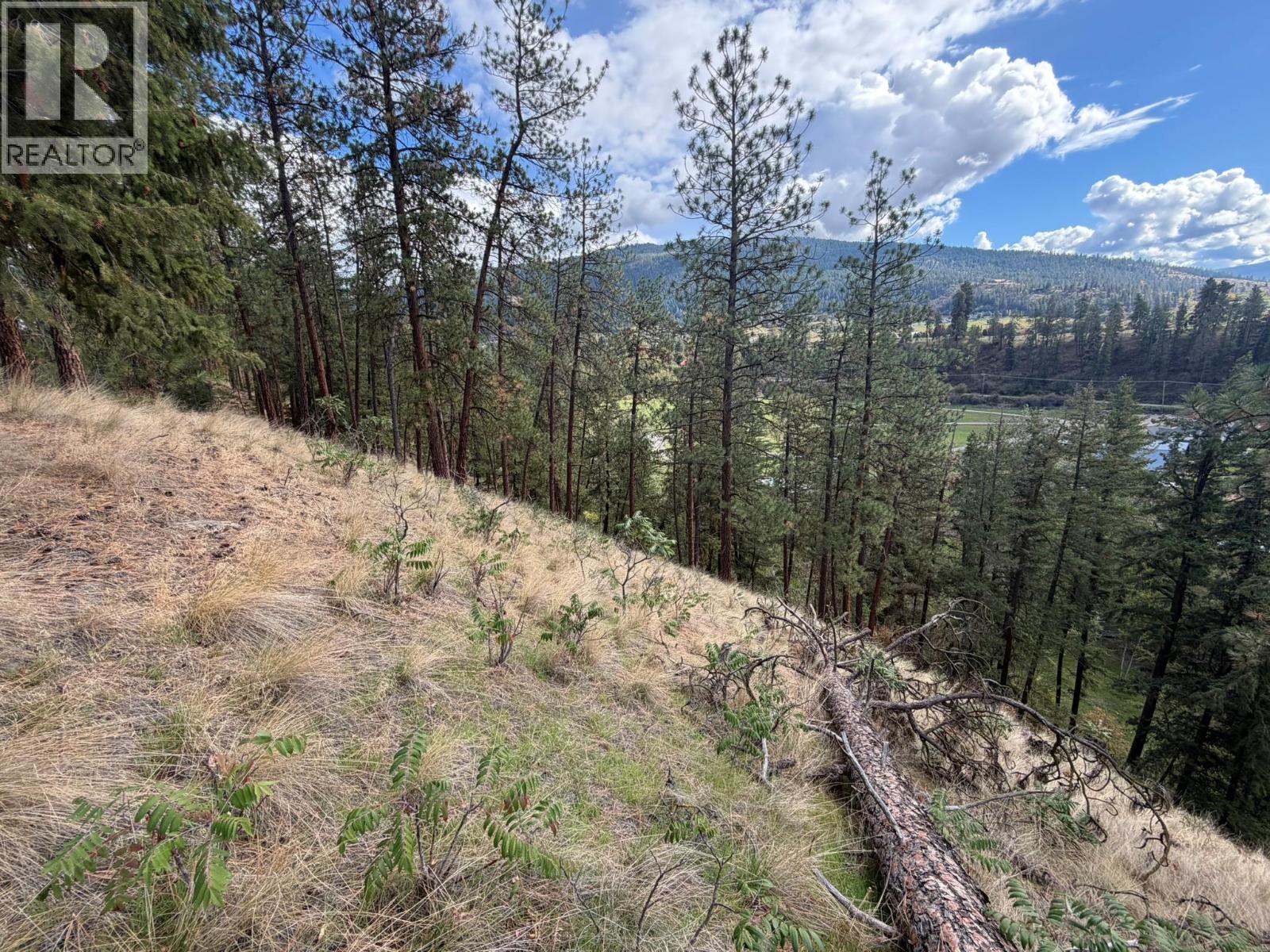 5440 Silver Star Road Property Photo 54