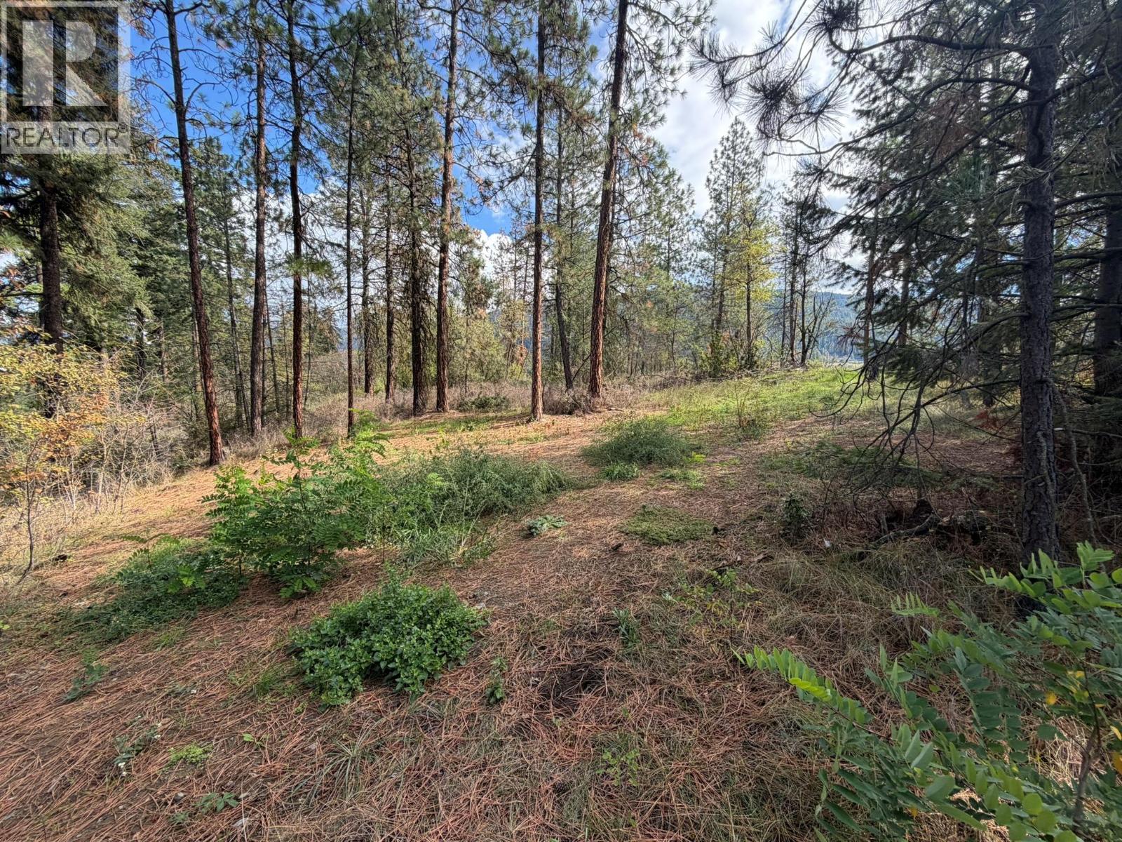 5440 Silver Star Road Property Photo 59