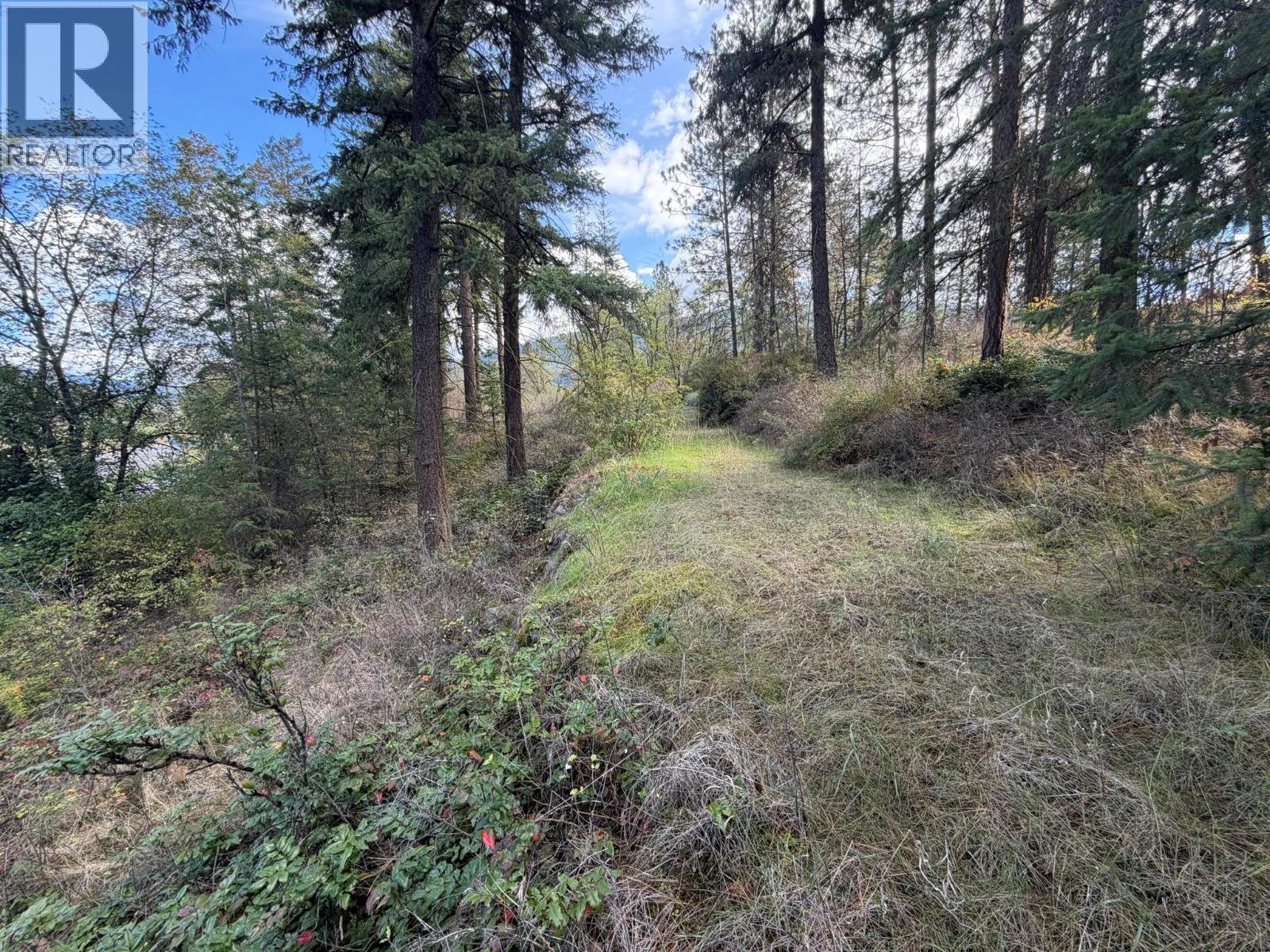 5440 Silver Star Road Property Photo 61