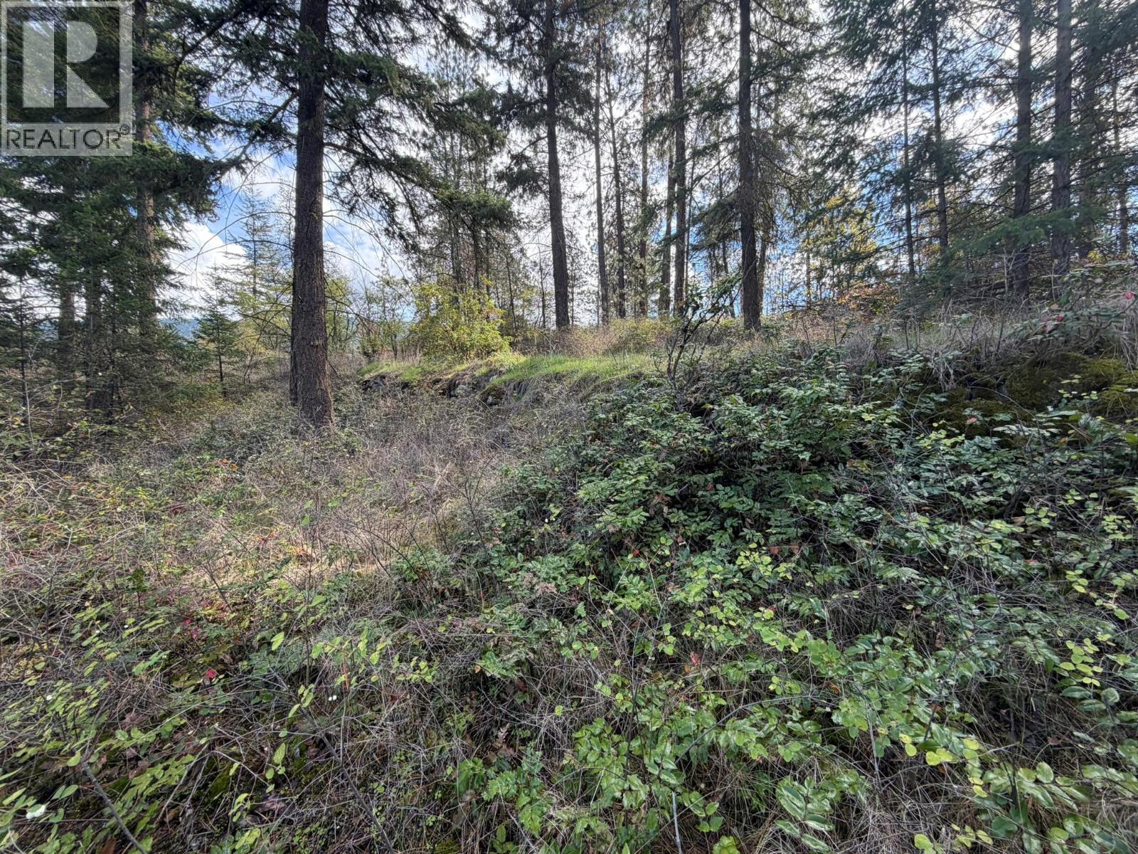 5440 Silver Star Road Property Photo 62