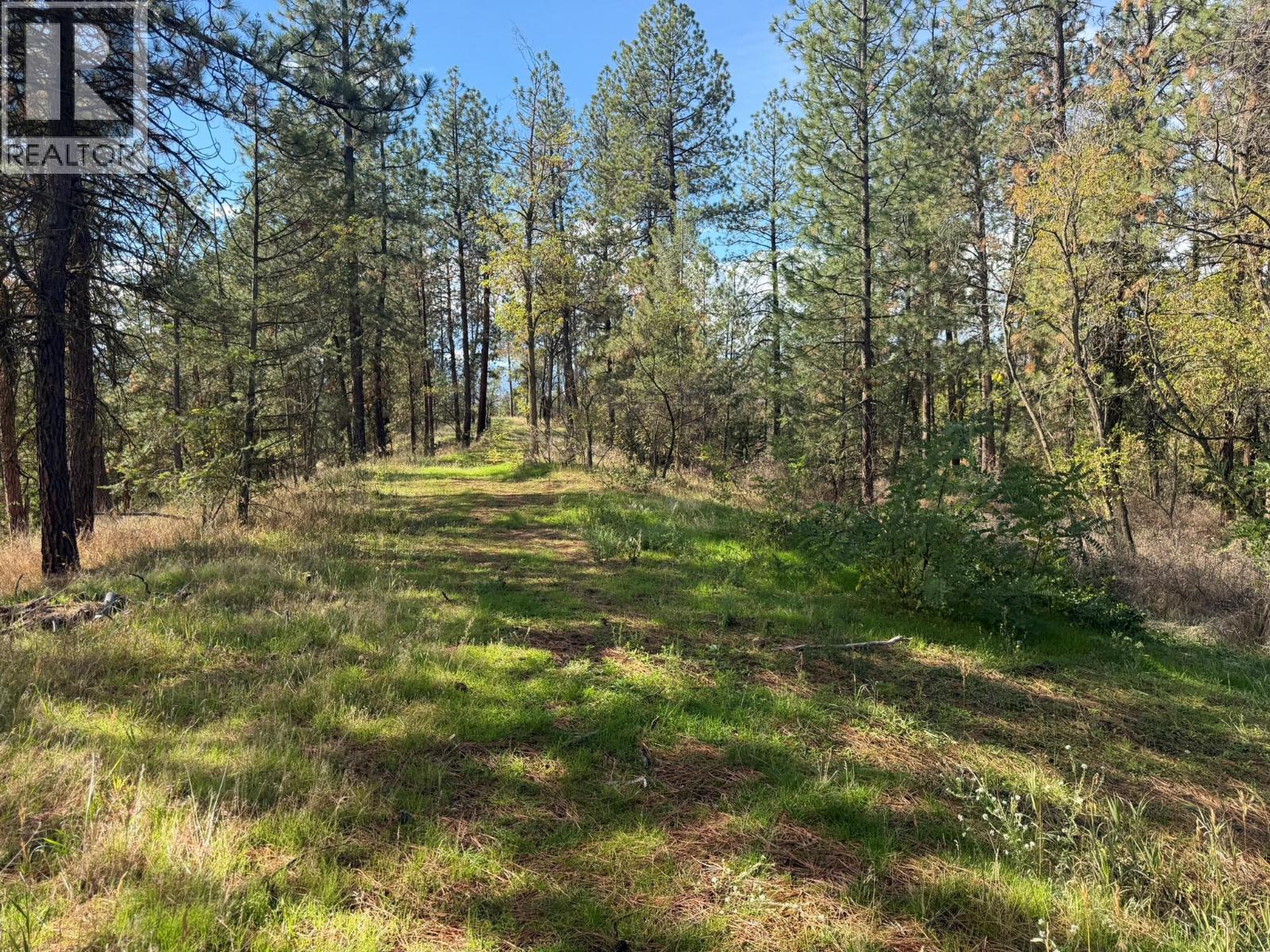 5440 Silver Star Road Property Photo 69