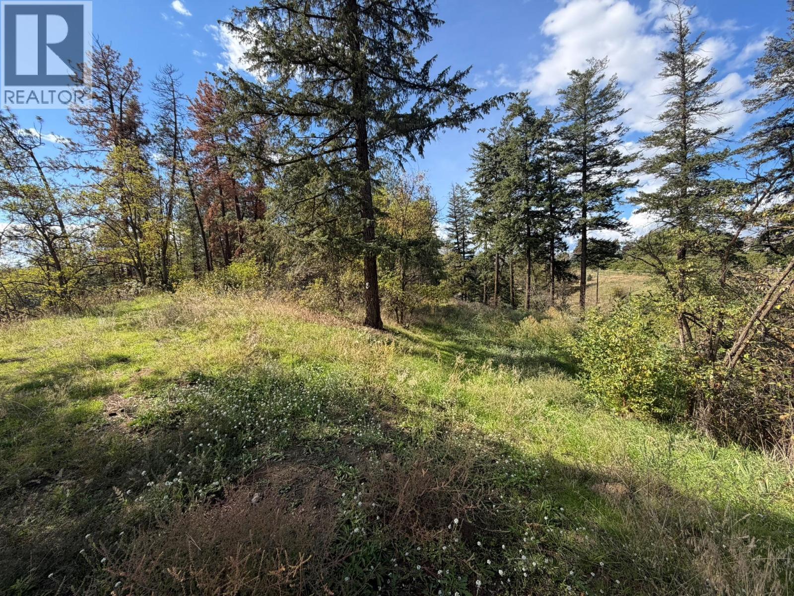 5440 Silver Star Road Property Photo 72