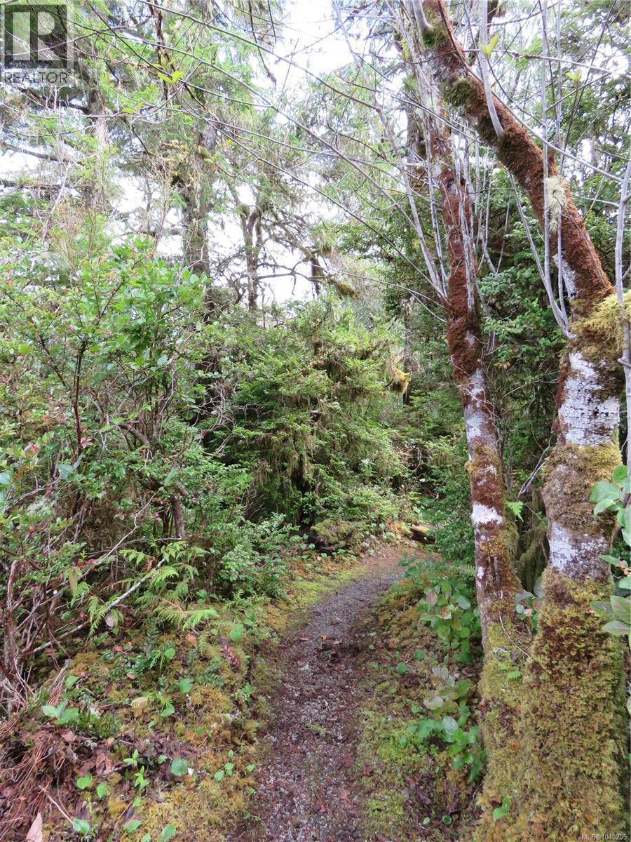 522 Burlo Island Property Photo 23