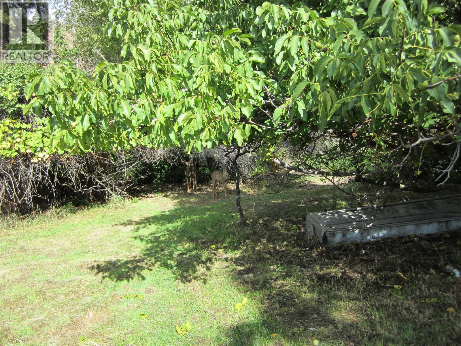 1285 Forestbrook Drive Property Photo 8