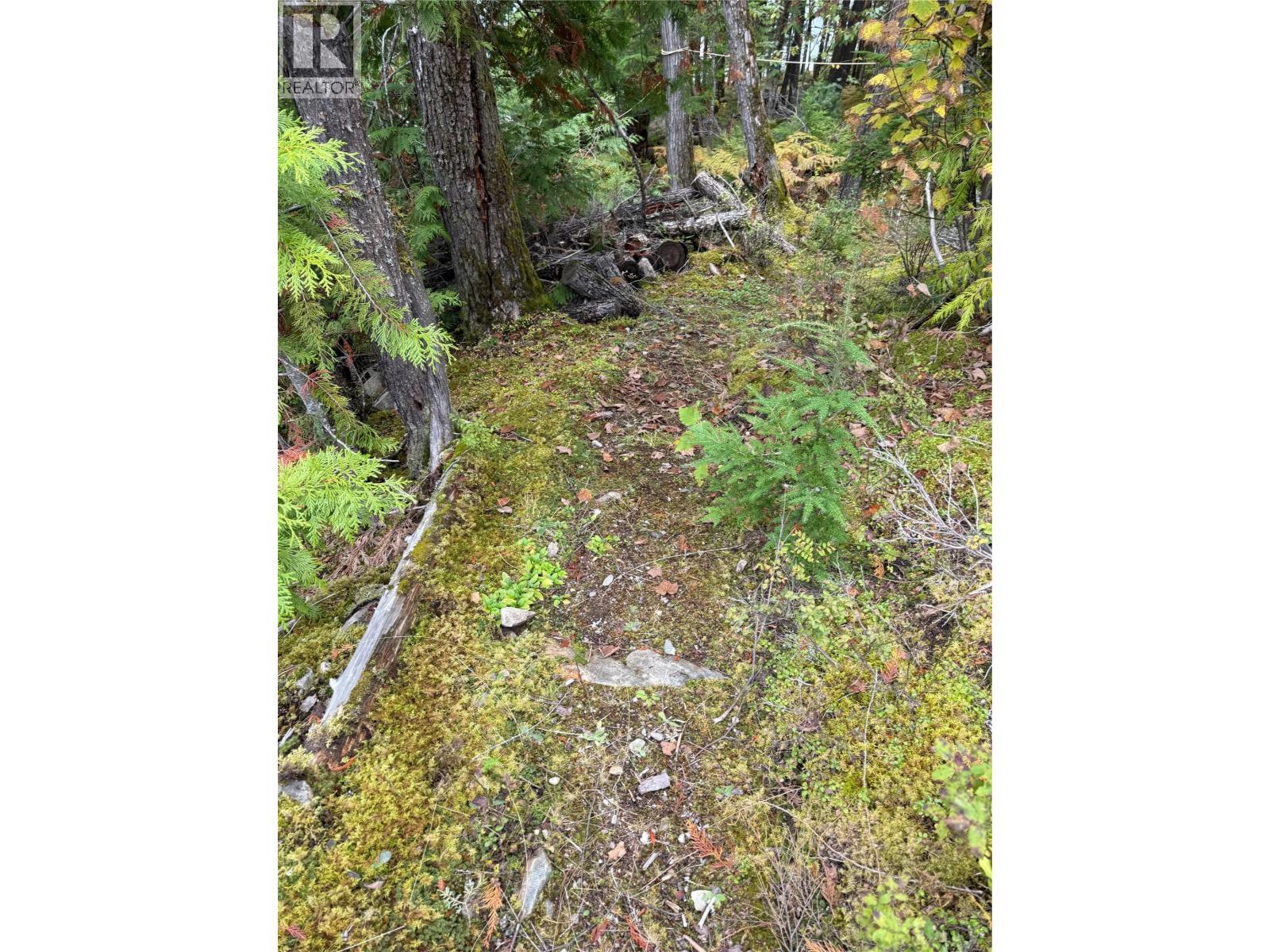 912 Bradley Road Property Photo 41