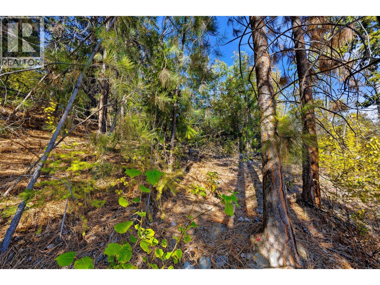 3220 Mciver Road Property Photo 42