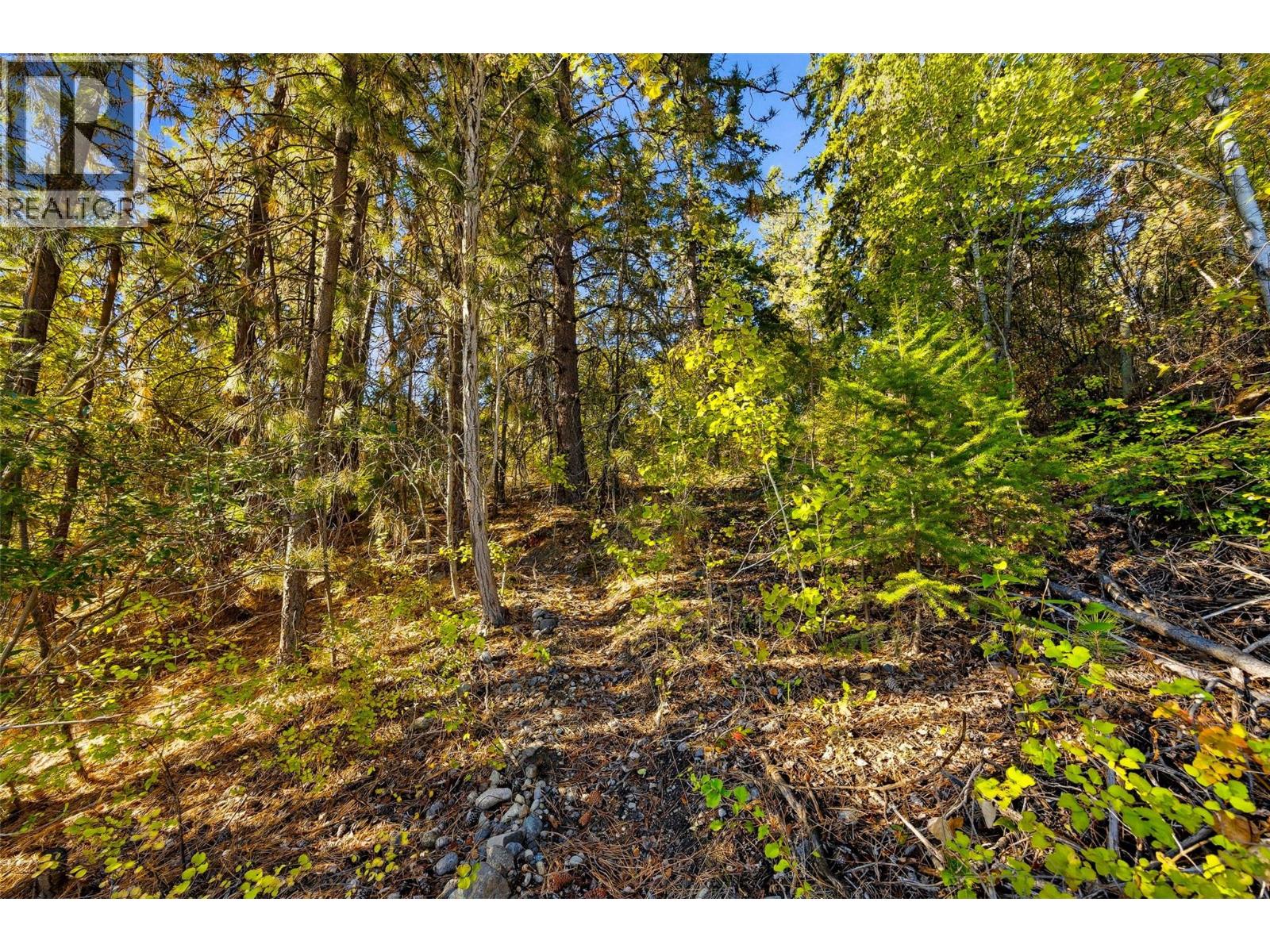 3220 Mciver Road Property Photo 43