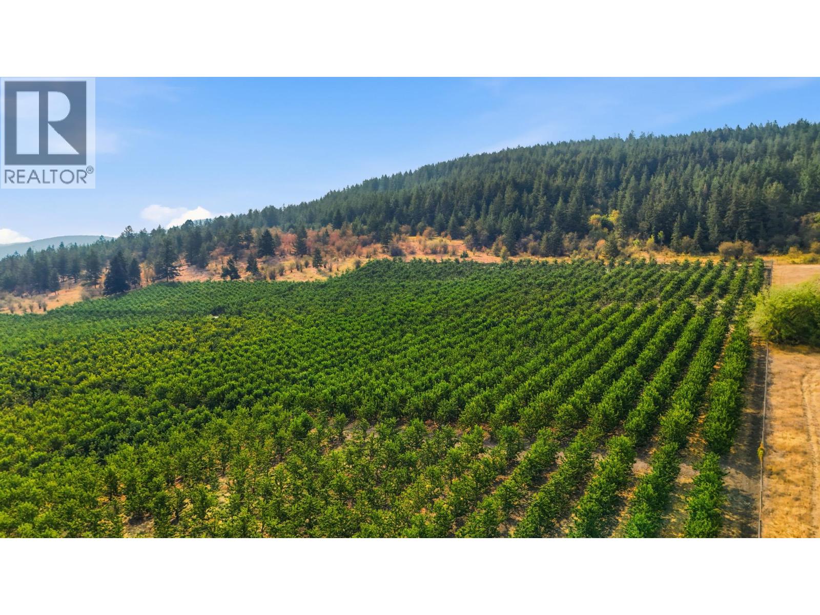 10770 Coldstream Creek Road Property Photo 3