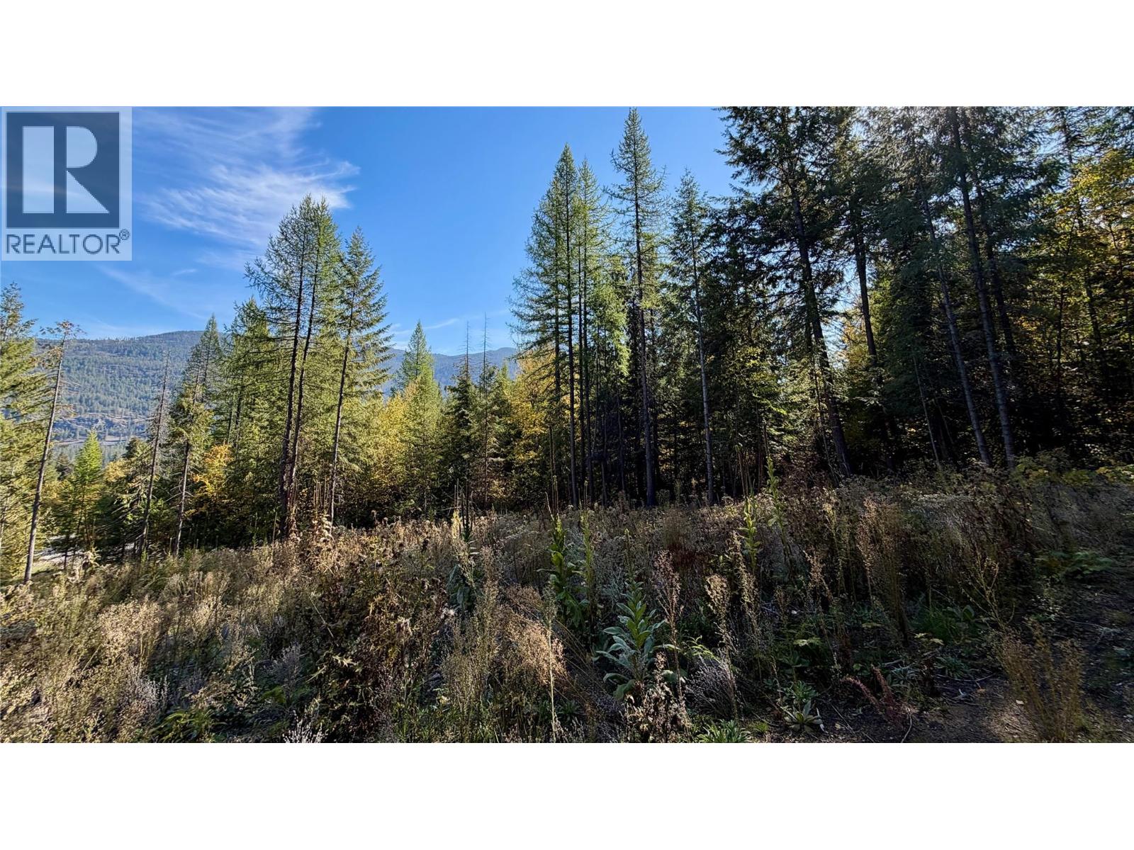 1515 Schulli Road Property Photo 8