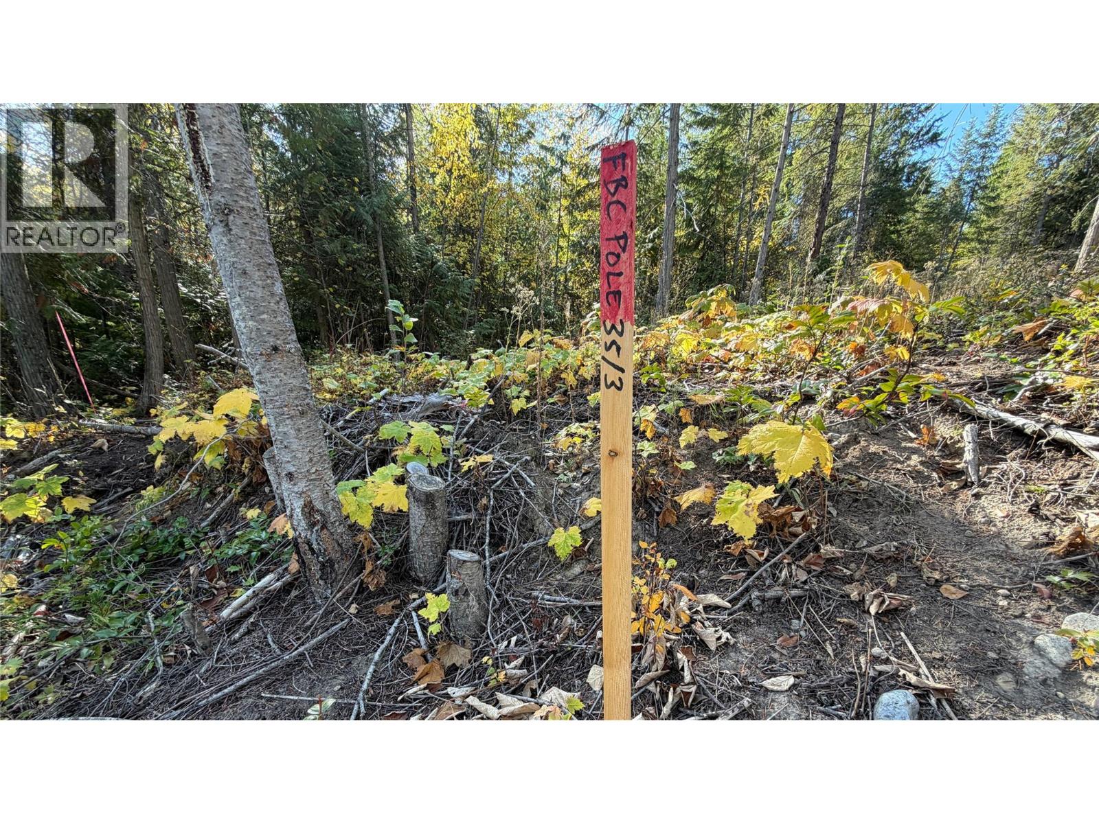 1515 Schulli Road Property Photo 13