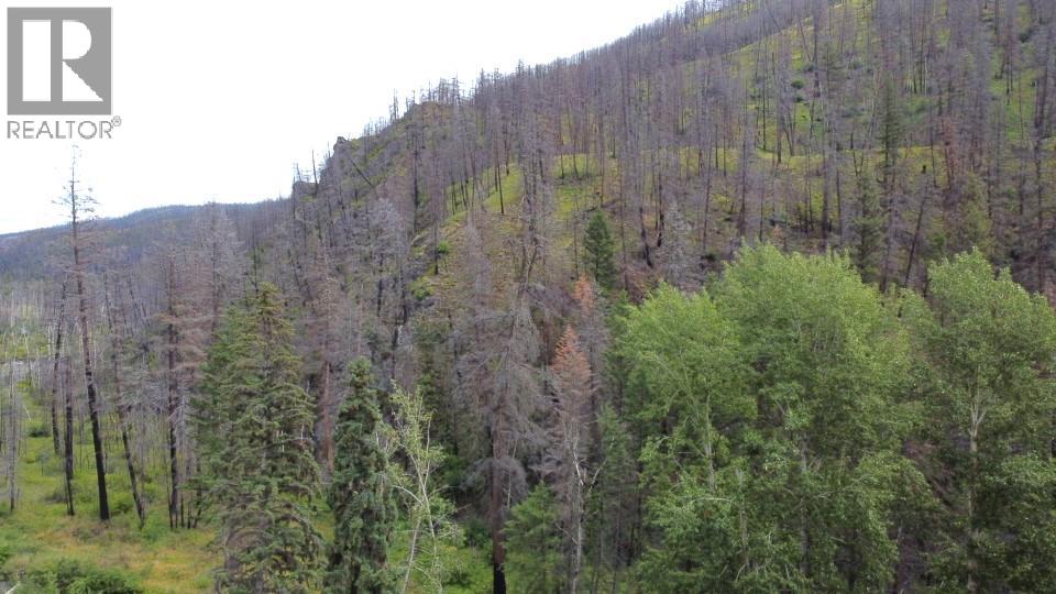 6520 Deadman Vidette Road Property Photo 4