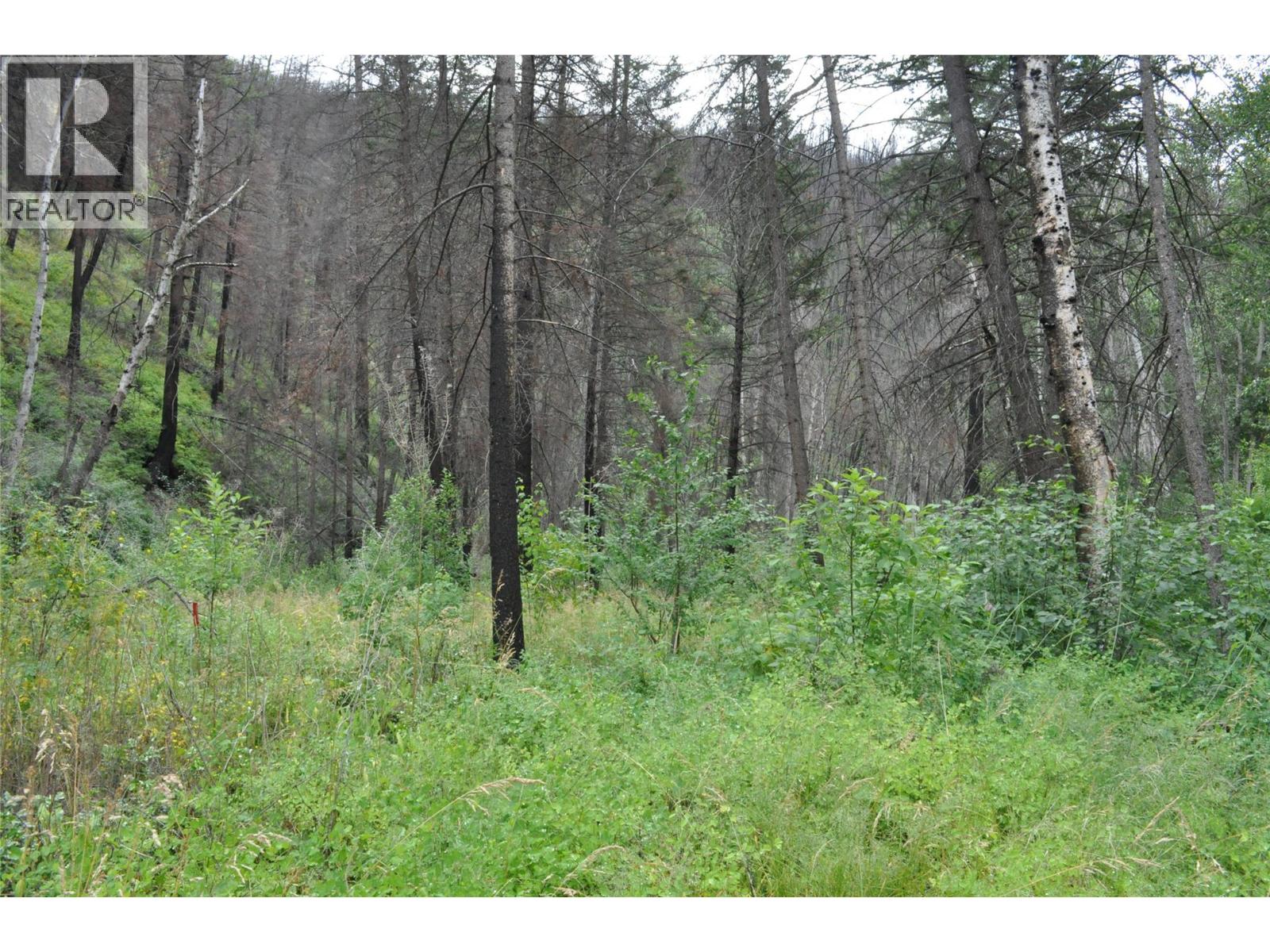 6520 Deadman Vidette Road Property Photo 46