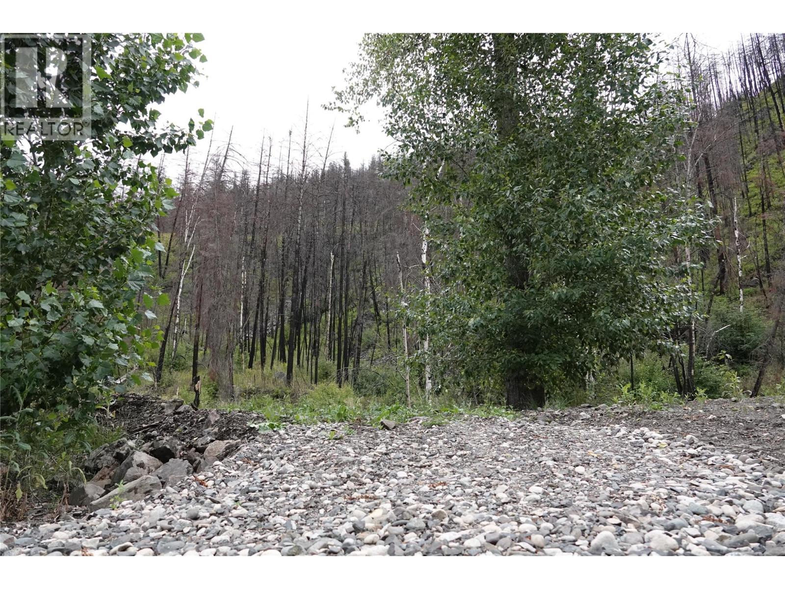 6520 Deadman Vidette Road Property Photo 61