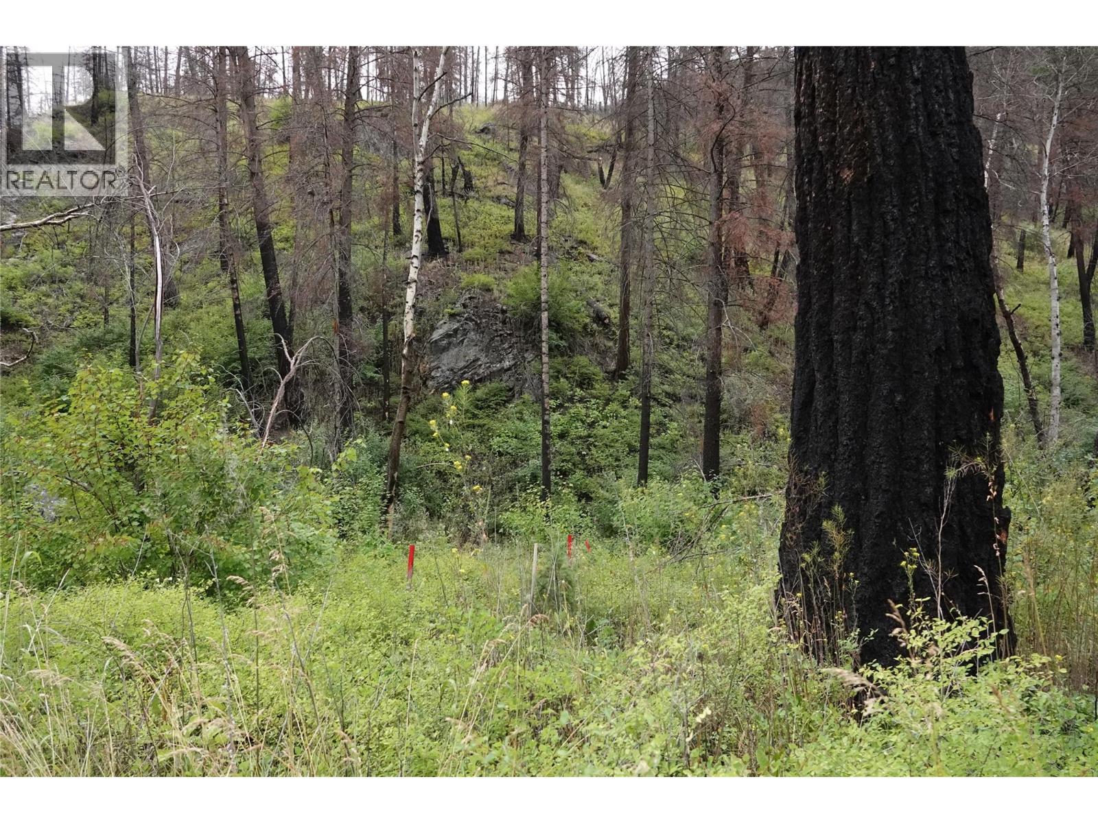 6520 Deadman Vidette Road Property Photo 70