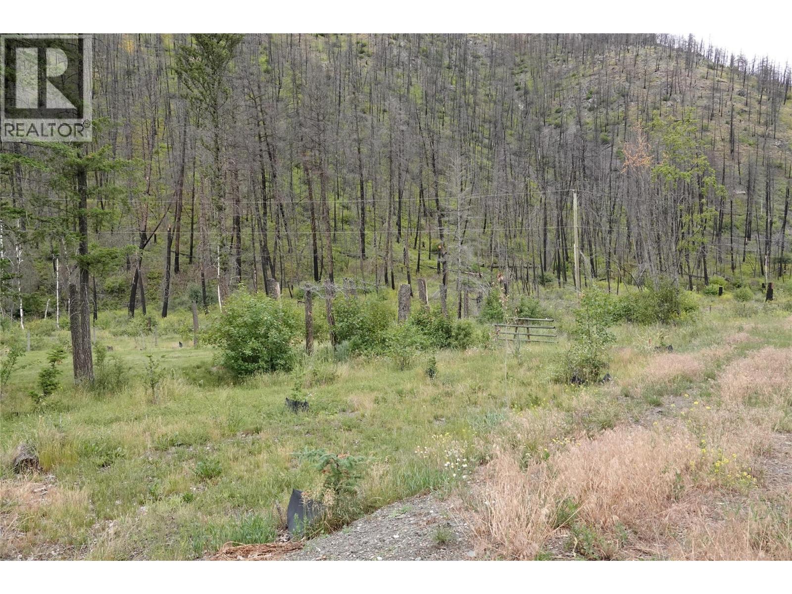6520 Deadman Vidette Road Property Photo 74