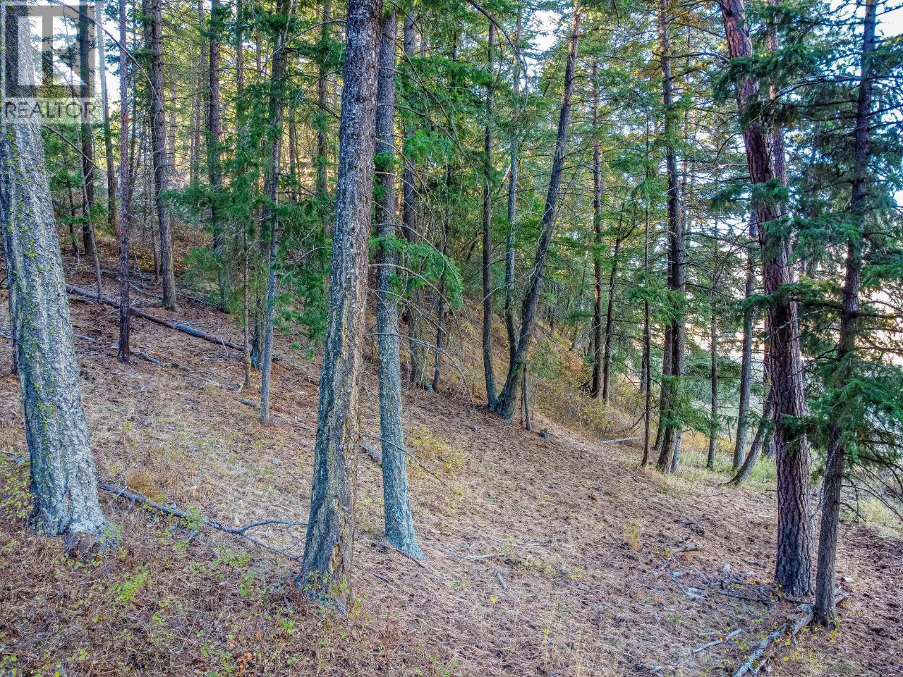1740 Macaulay Road Property Photo 63