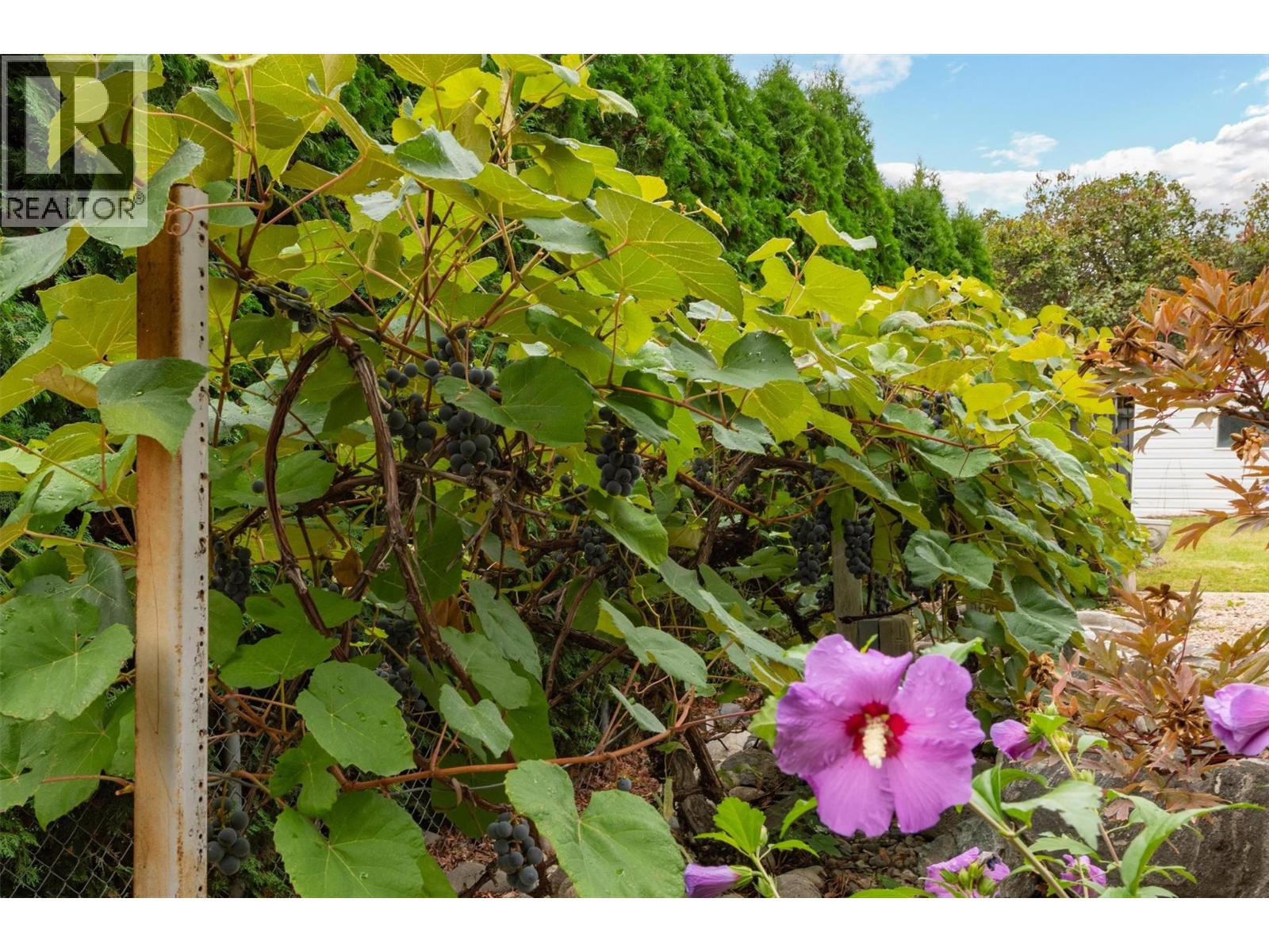 430 Perth Road Property Photo 36
