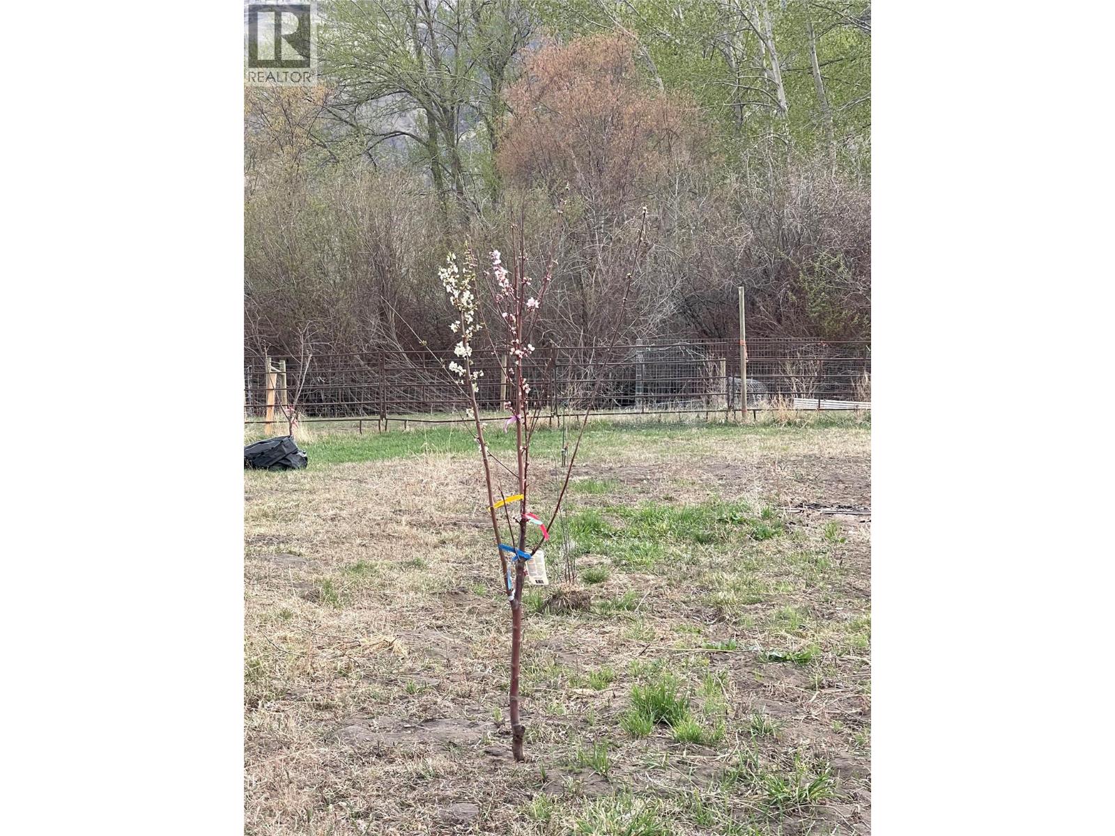 1911 Osprey Lane Property Photo 21