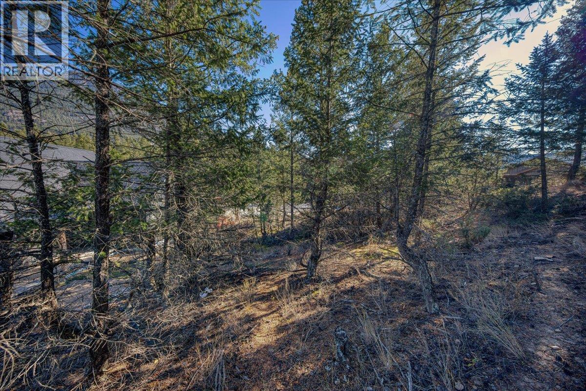 Lot 41 Cooper Road Property Photo 7