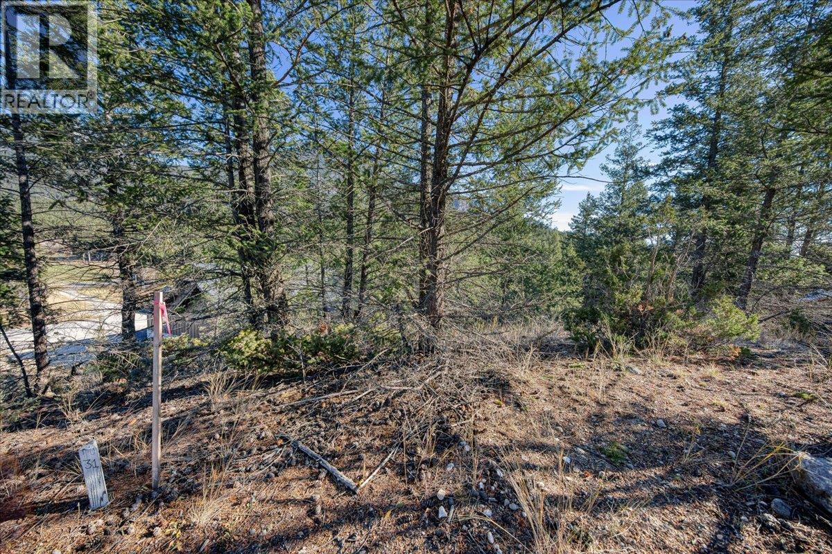 Lot 41 Cooper Road Property Photo 8