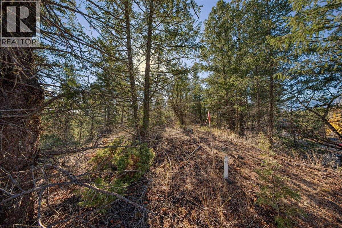Lot 41 Cooper Road Property Photo 11