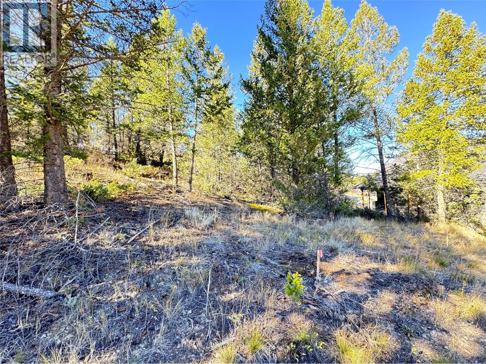 Lot 41 Cooper Road Property Photo 23