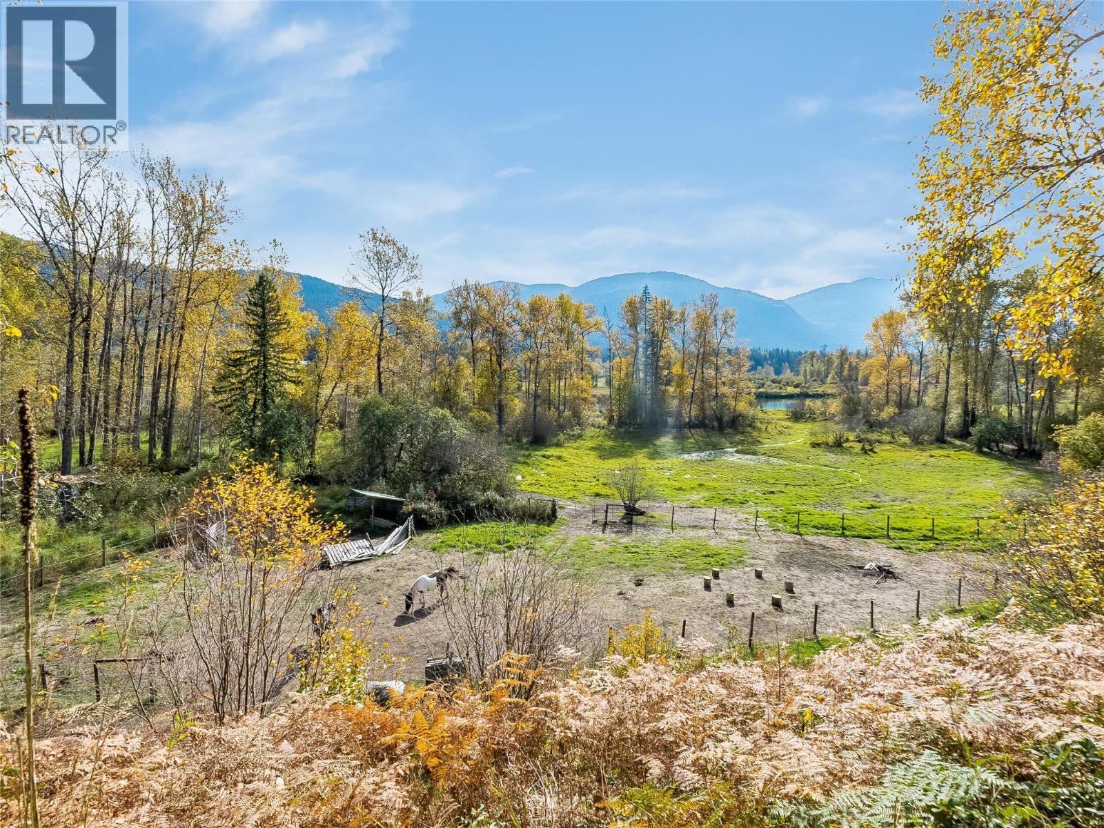 6238 Youngs Road Property Photo 48