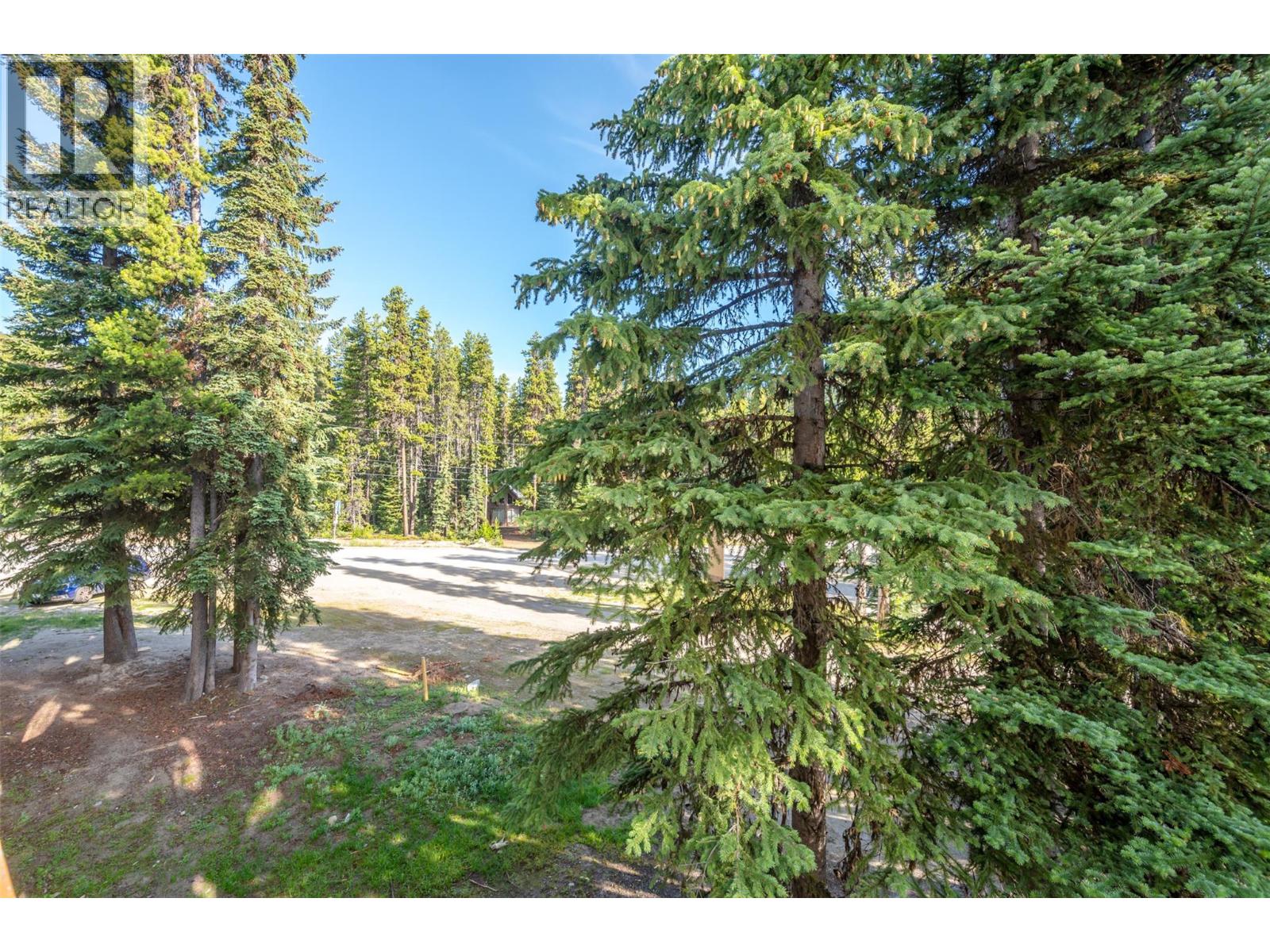 1191 Apex Mountain Road Unit# 202 Property Photo 17