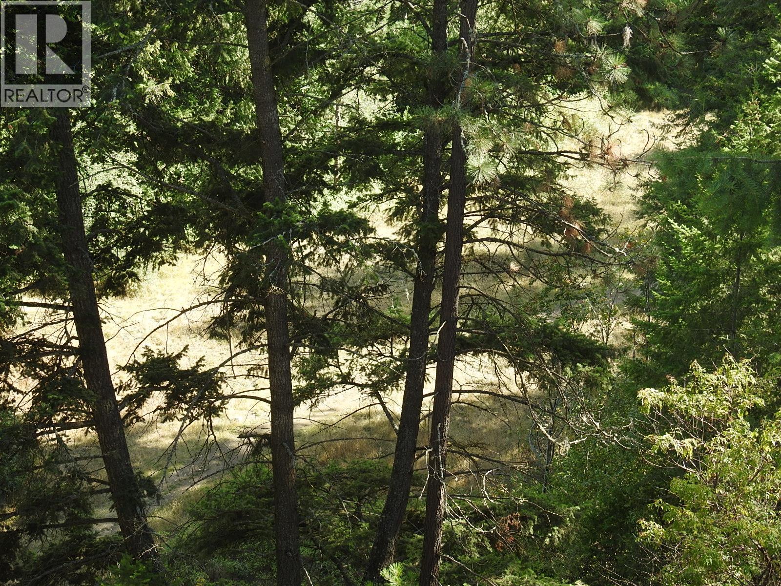 Lot 43 Silver Star Road Property Photo 12