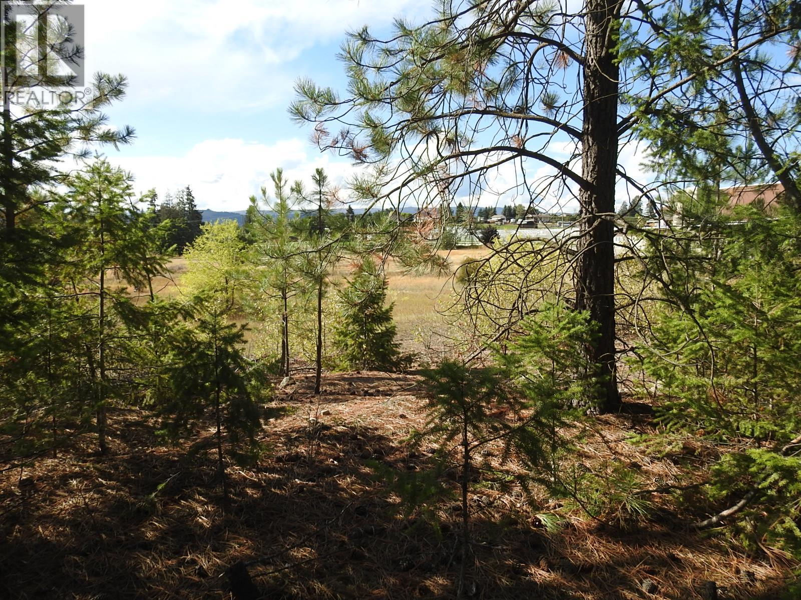 Lot 43 Silver Star Road Property Photo 27