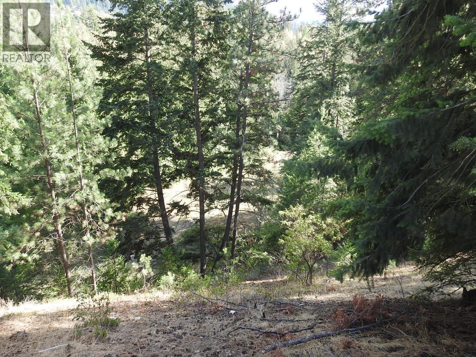 Lot 43 Silver Star Road Property Photo 29