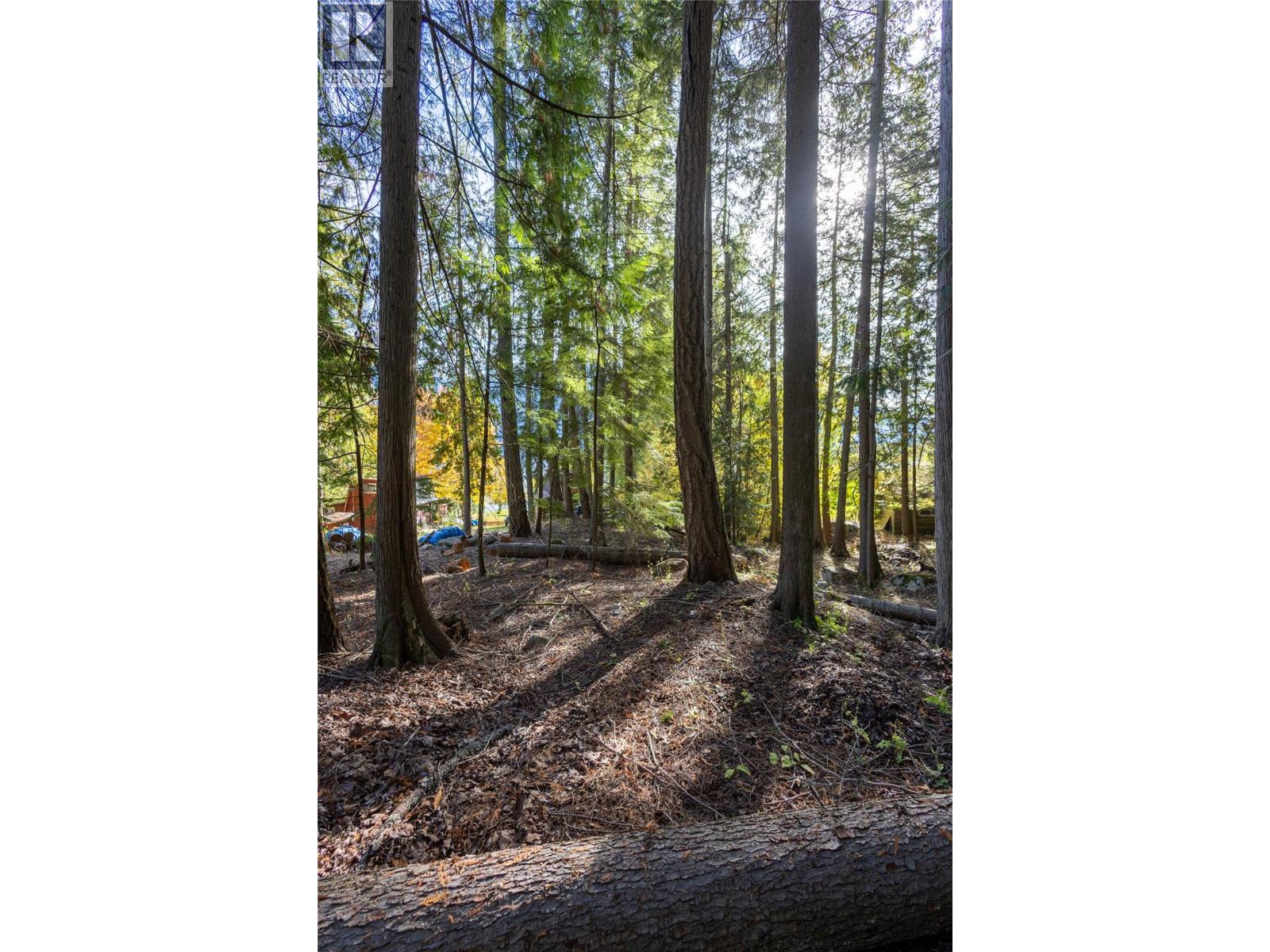 4318 Highway 3a Highway Property Photo 17