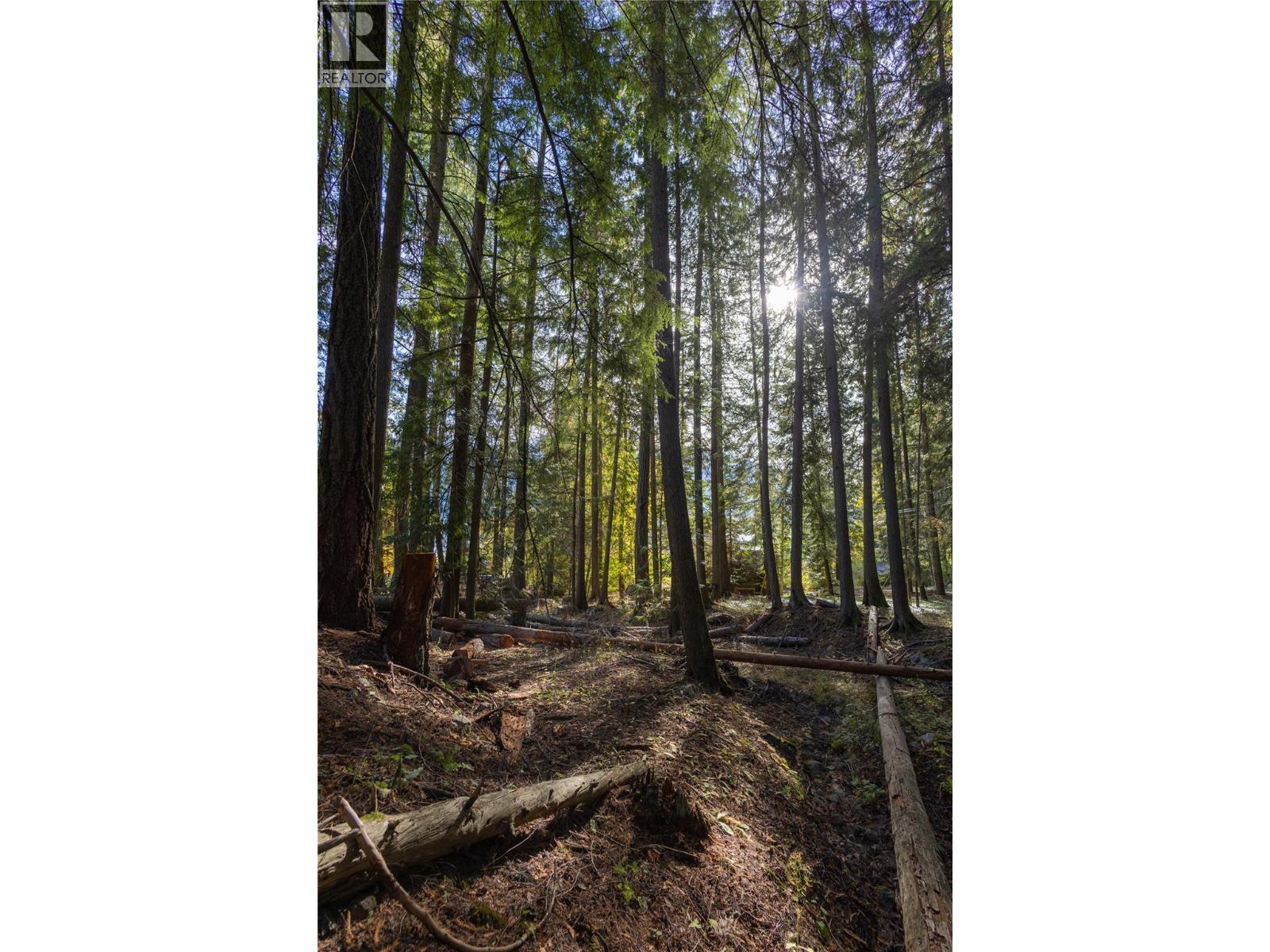 4318 Highway 3a Highway Property Photo 18