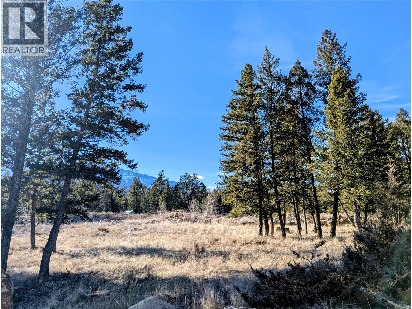 2476 Castlestone Drive Property Photo 3