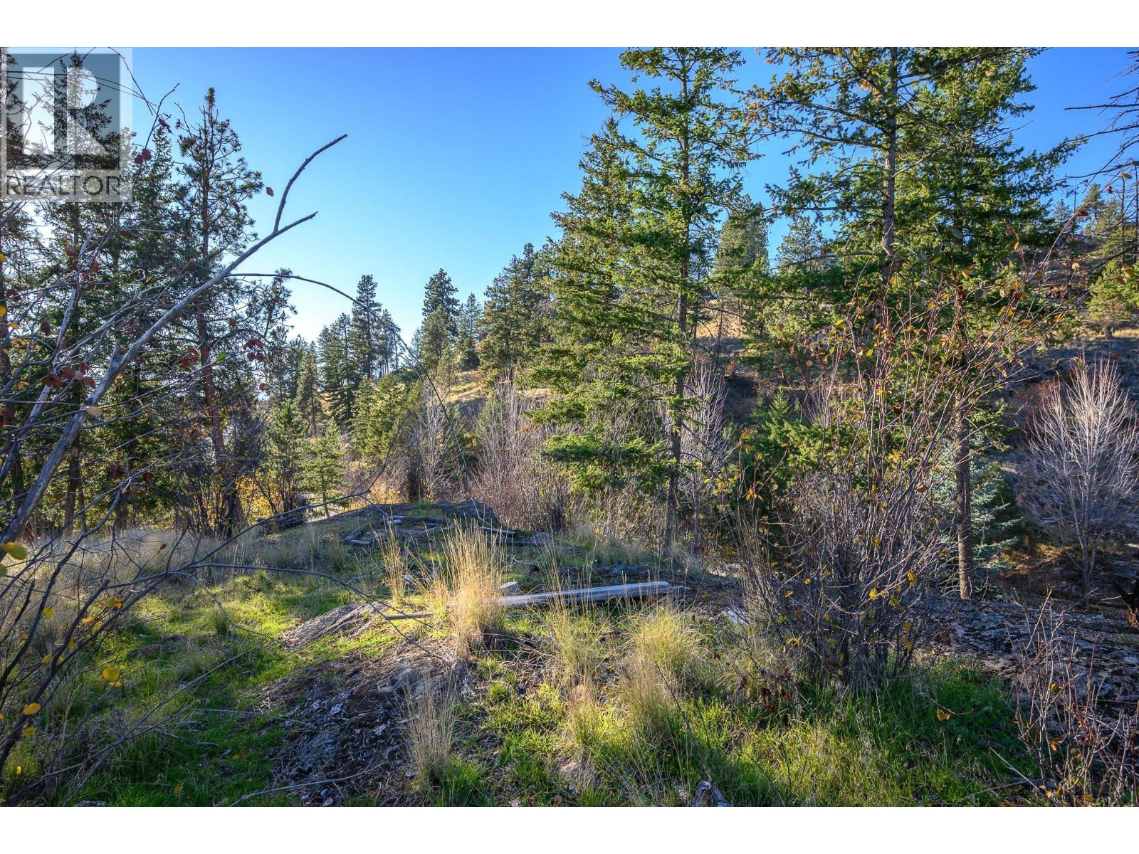532 Falcon Point Way Property Photo 70