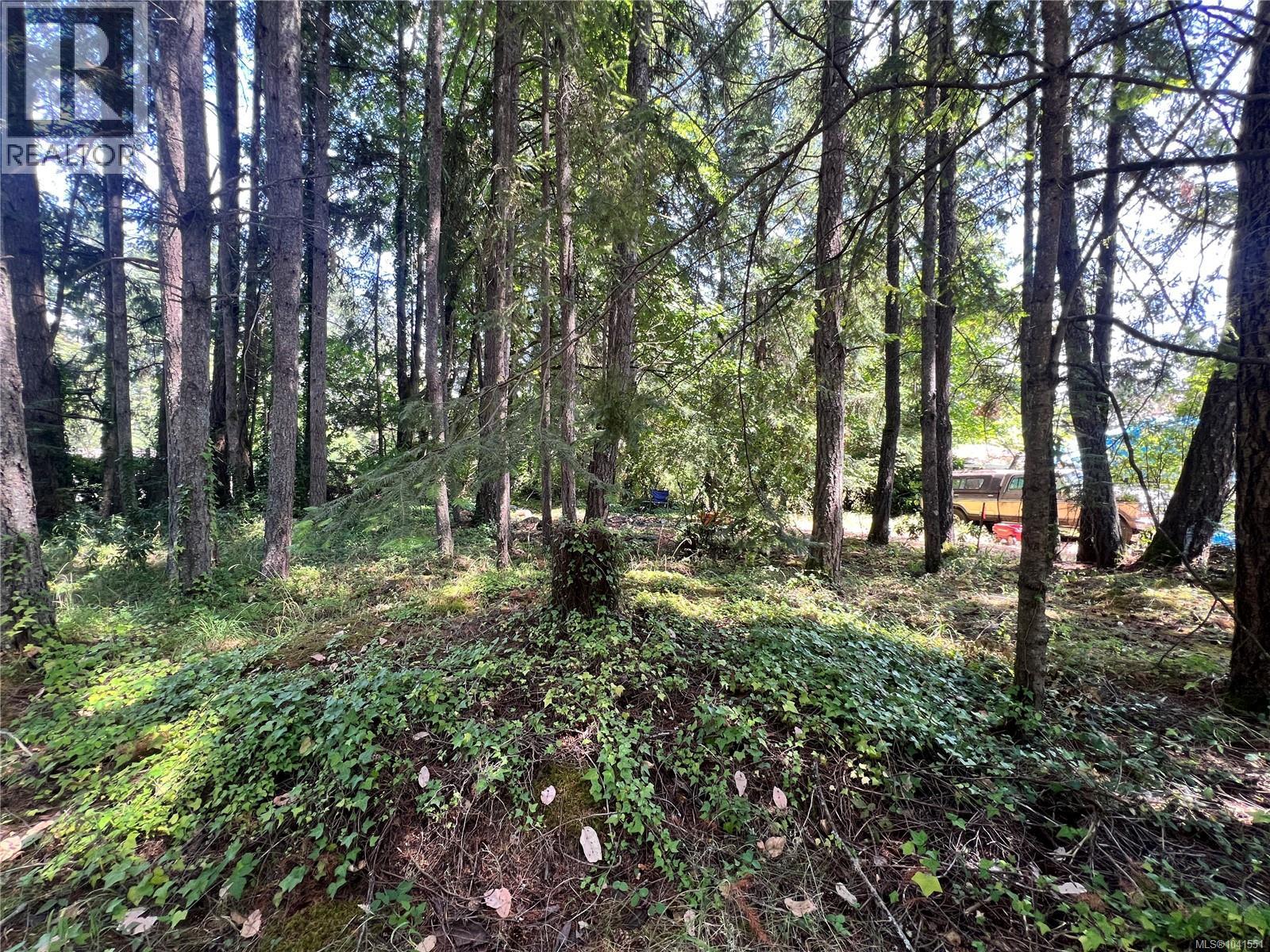 Lot B Chemainus Rd Property Photo 2