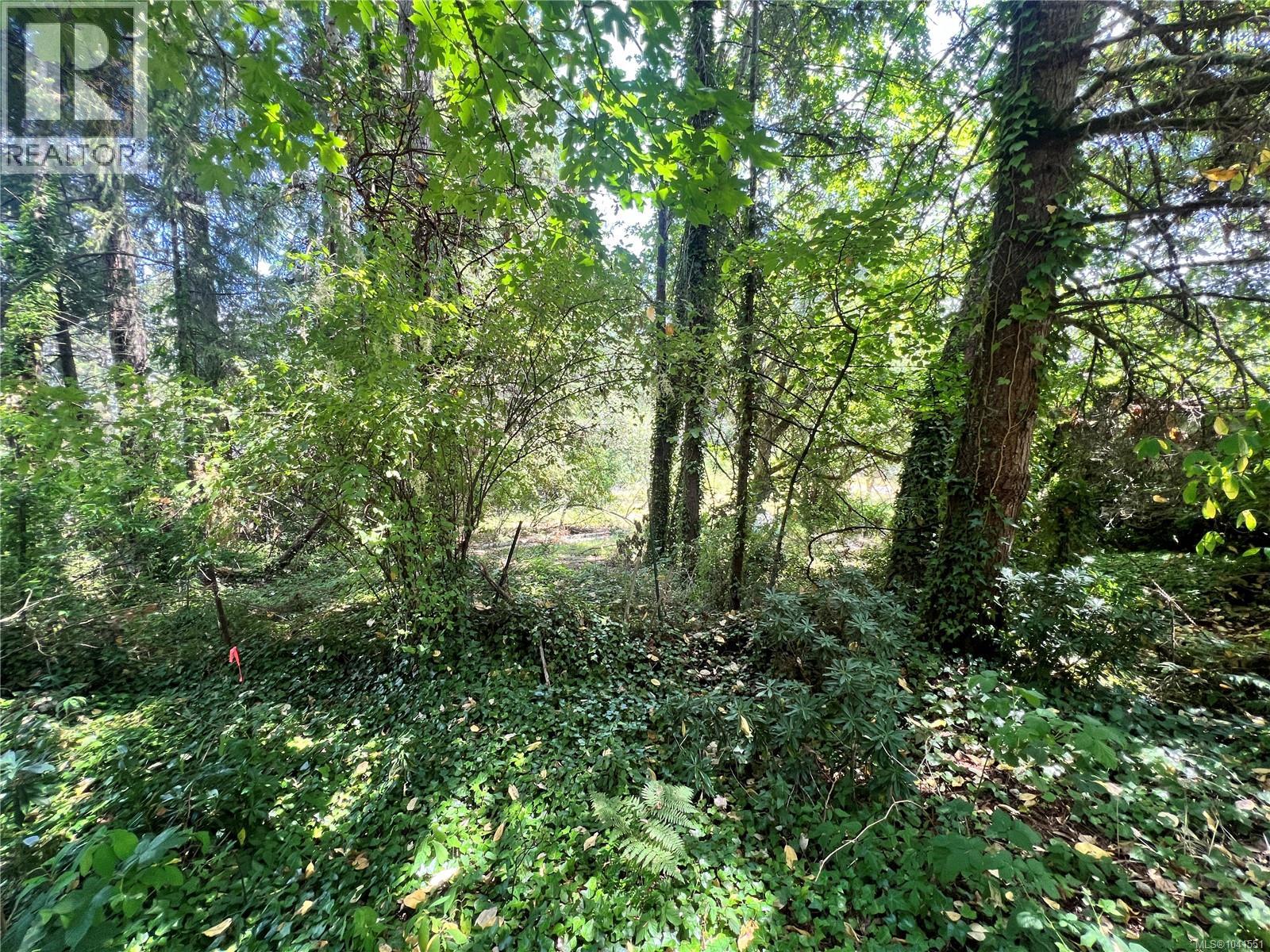 Lot B Chemainus Rd Property Photo 3