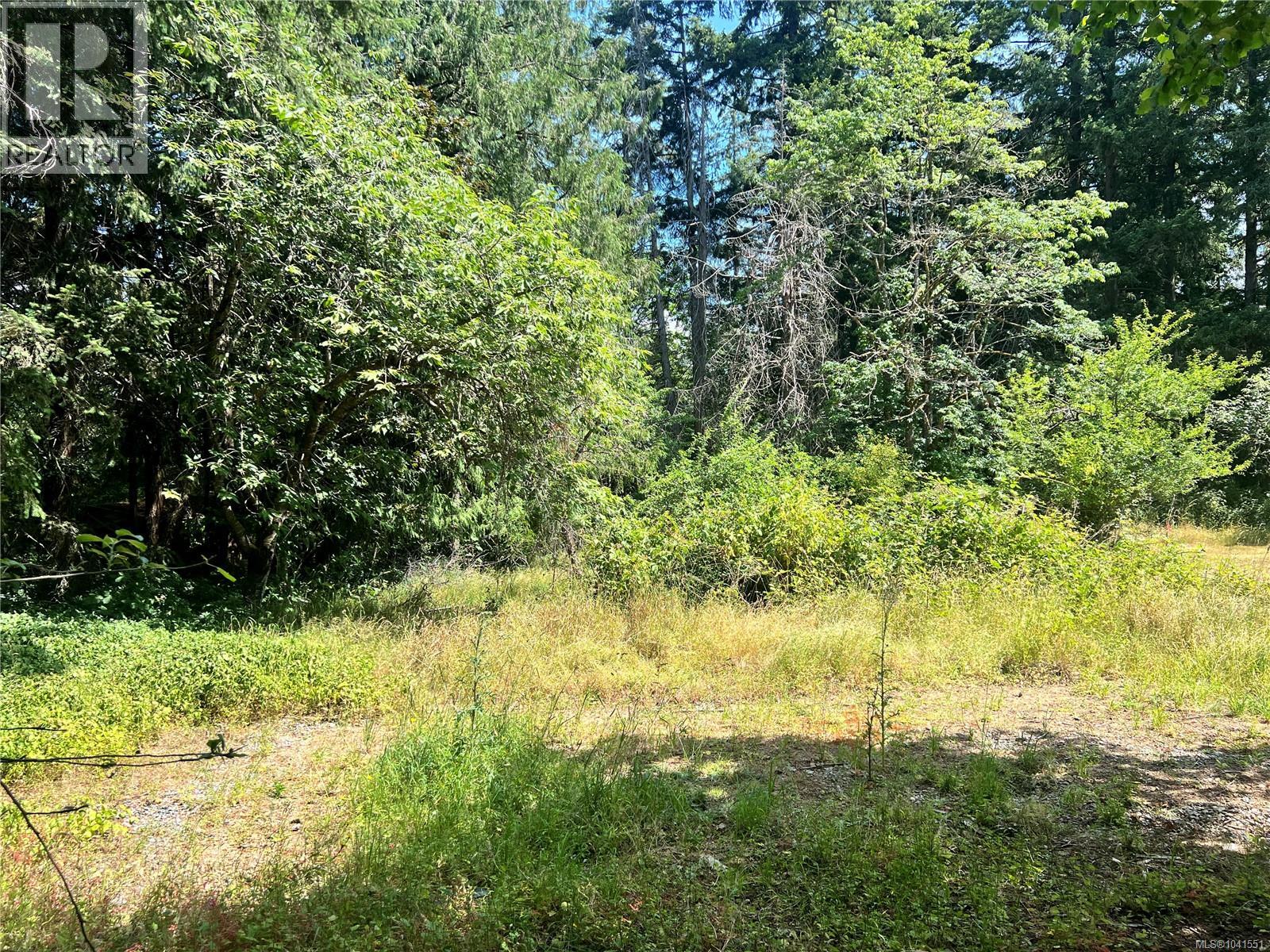 Lot B Chemainus Rd Property Photo 4