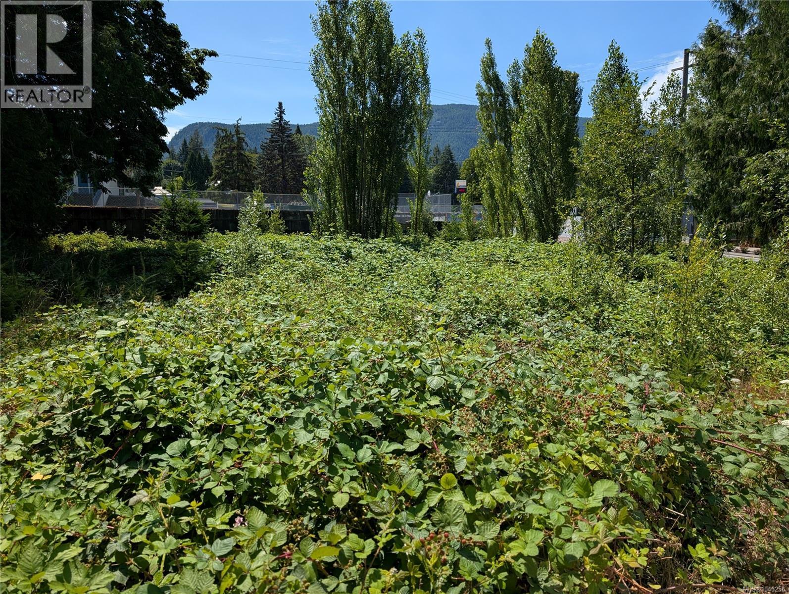 96 Cowichan Ave Property Photo 2