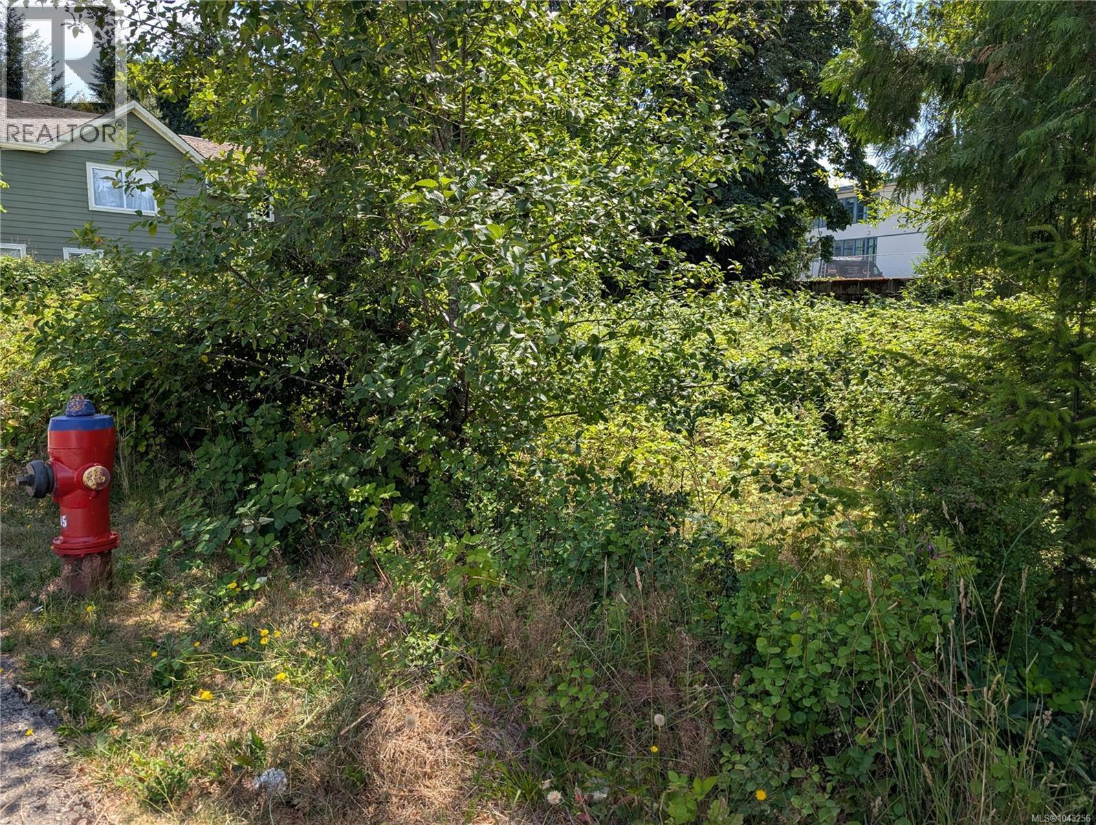 96 Cowichan Ave Property Photo 4
