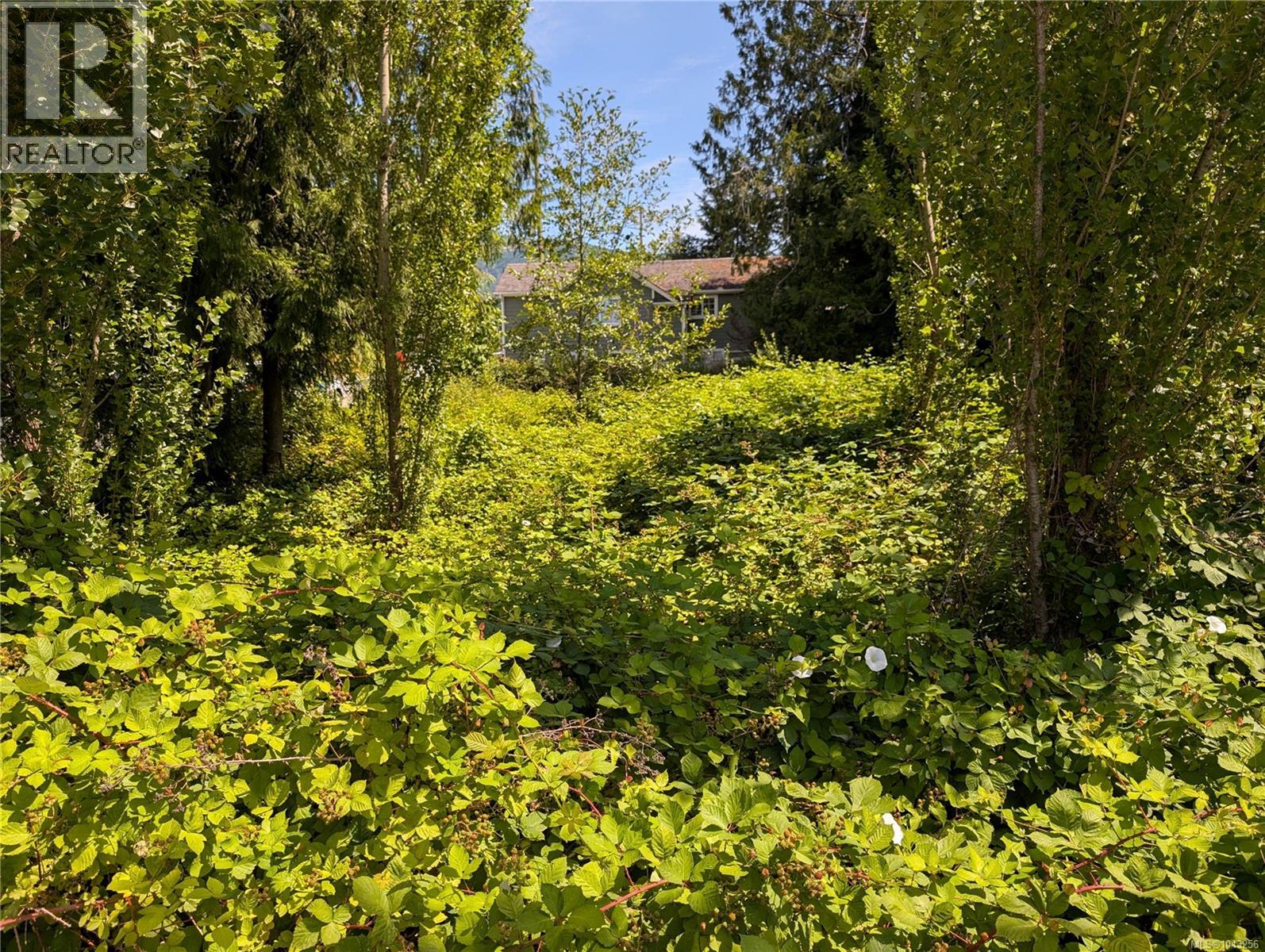 96 Cowichan Ave Property Photo 6