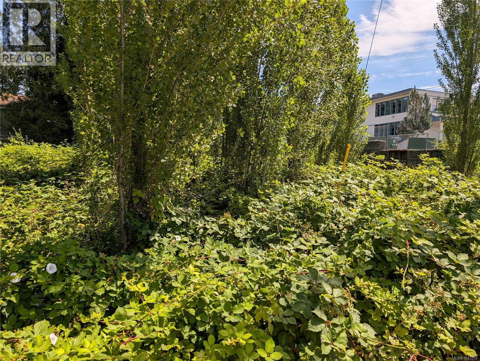 96 Cowichan Ave Property Photo 7