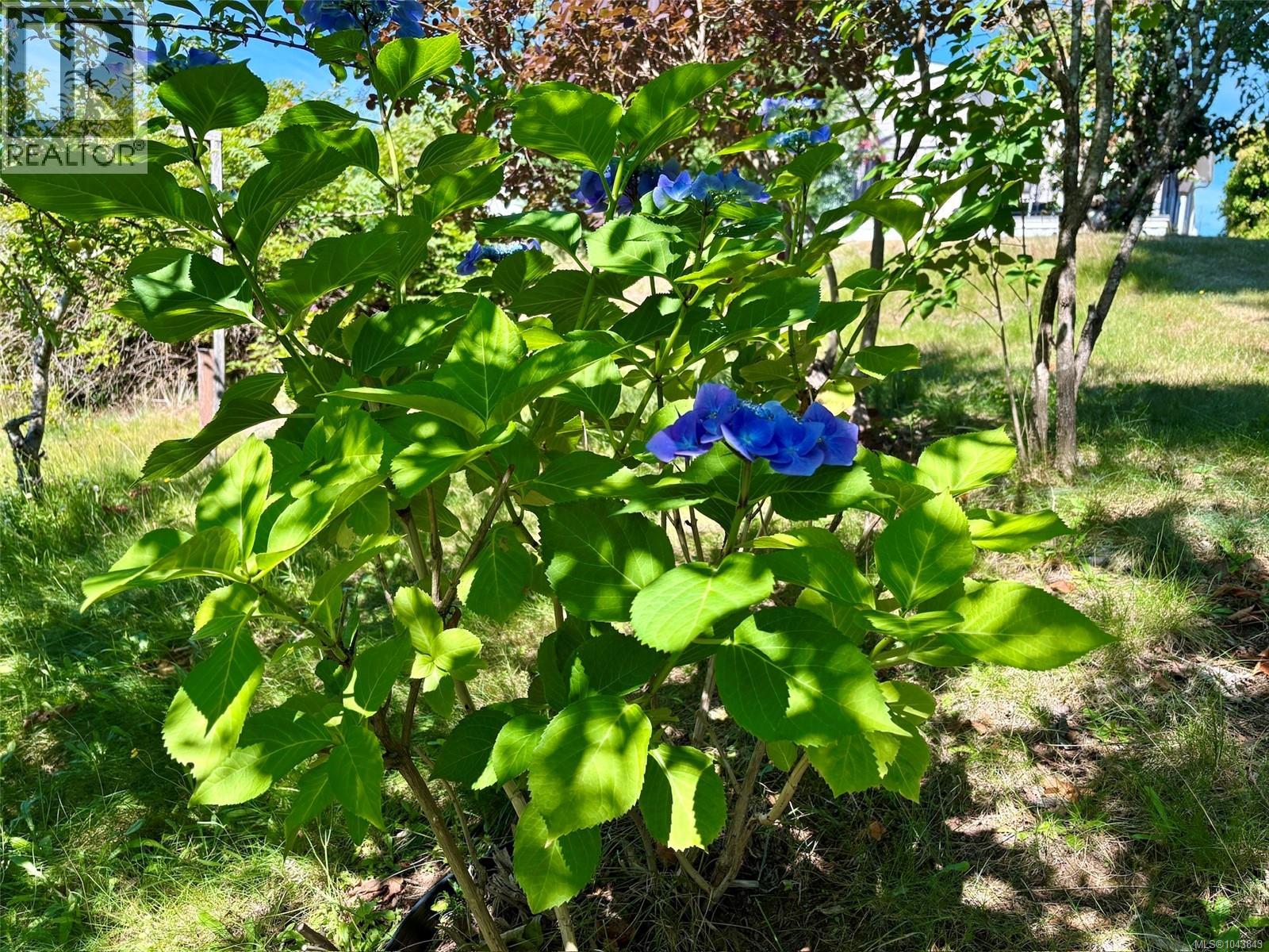 30 4714 Muir Rd Property Photo 31