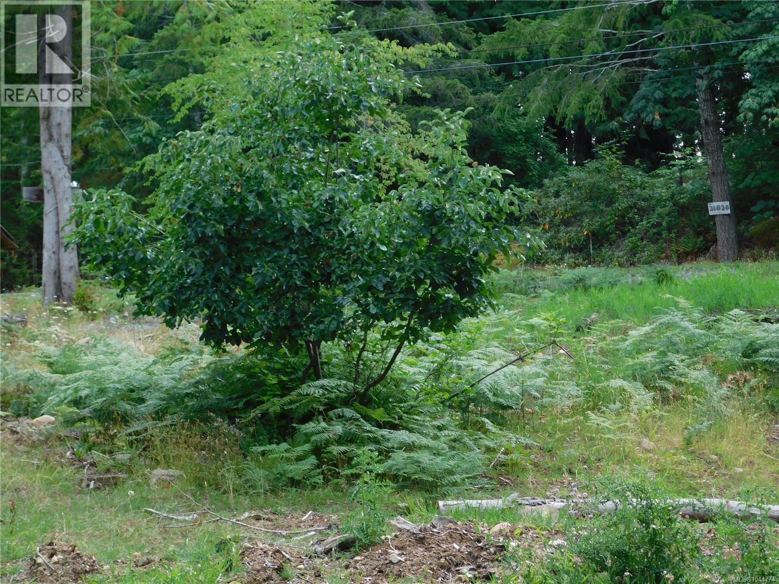 10206 South Dr Property Photo 6