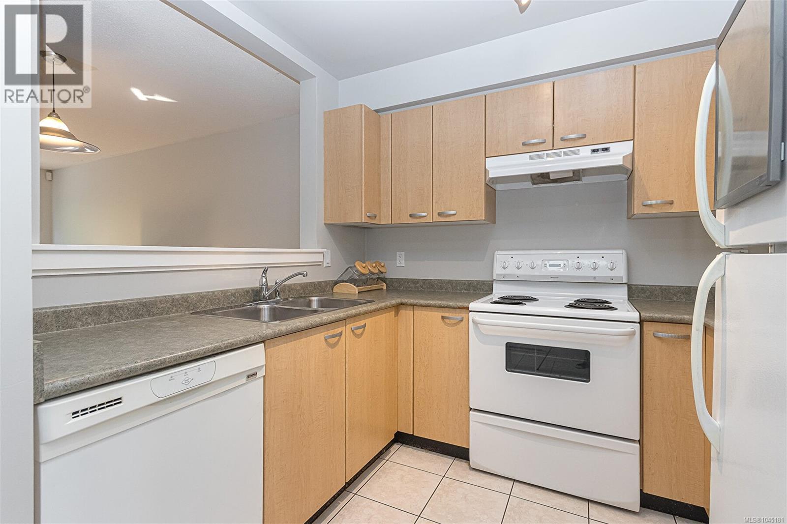 3 1019 North Park St Property Photo 16