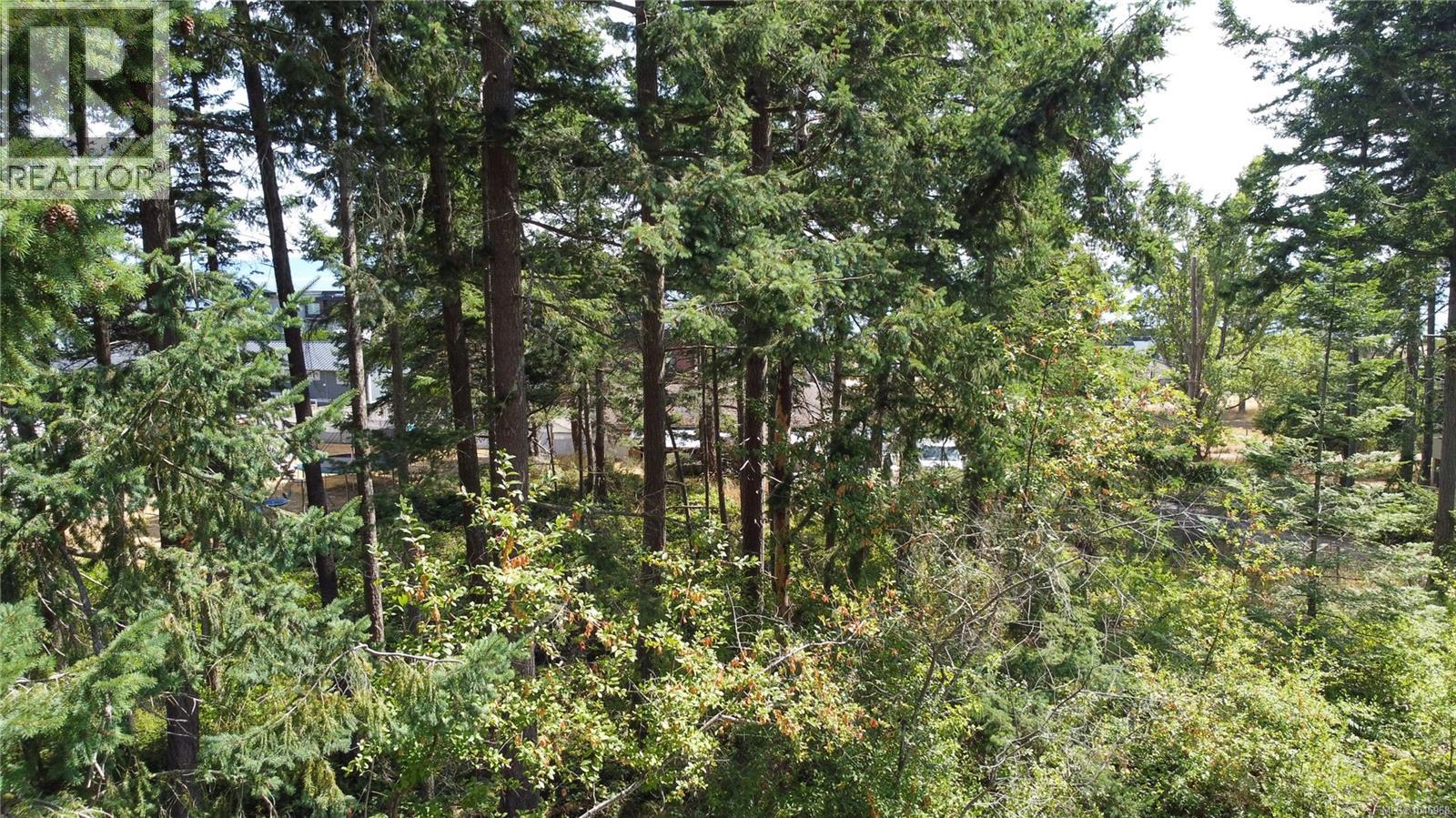 Lot 27 Walter Rd Property Photo 13