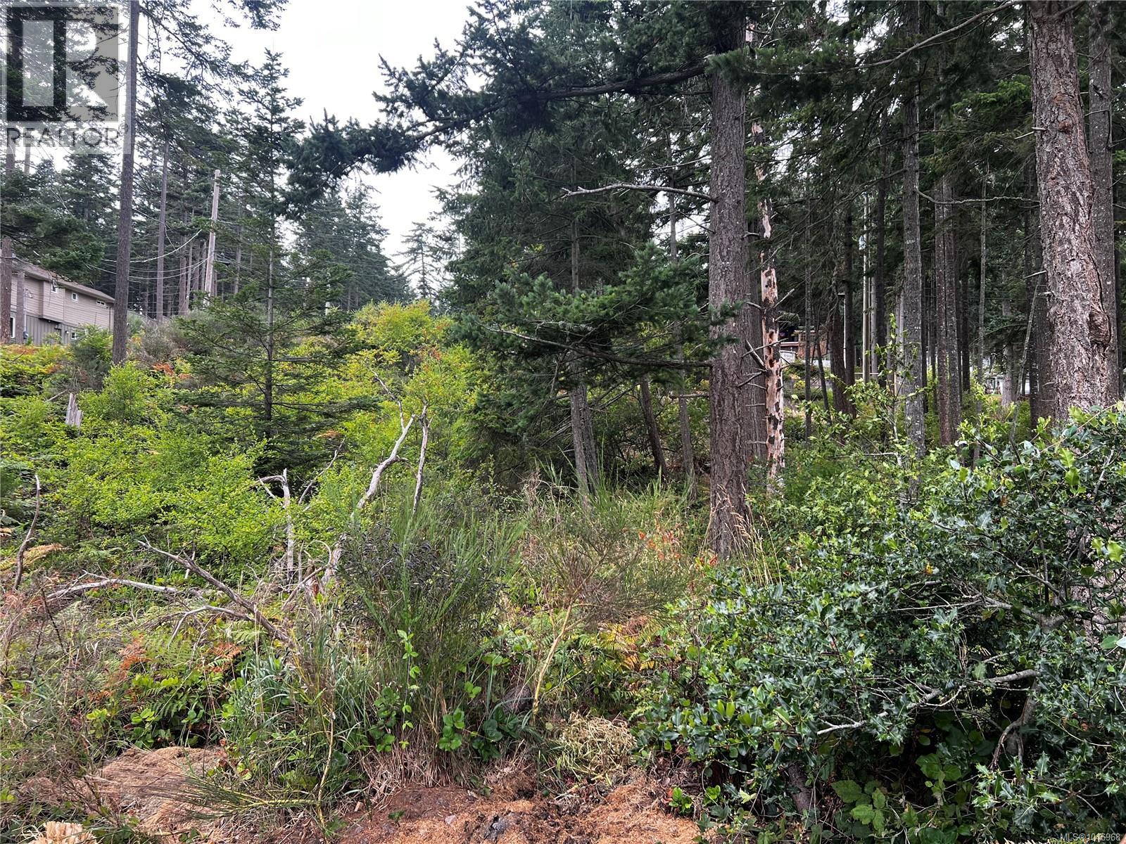 Lot 27 Walter Rd Property Photo 16