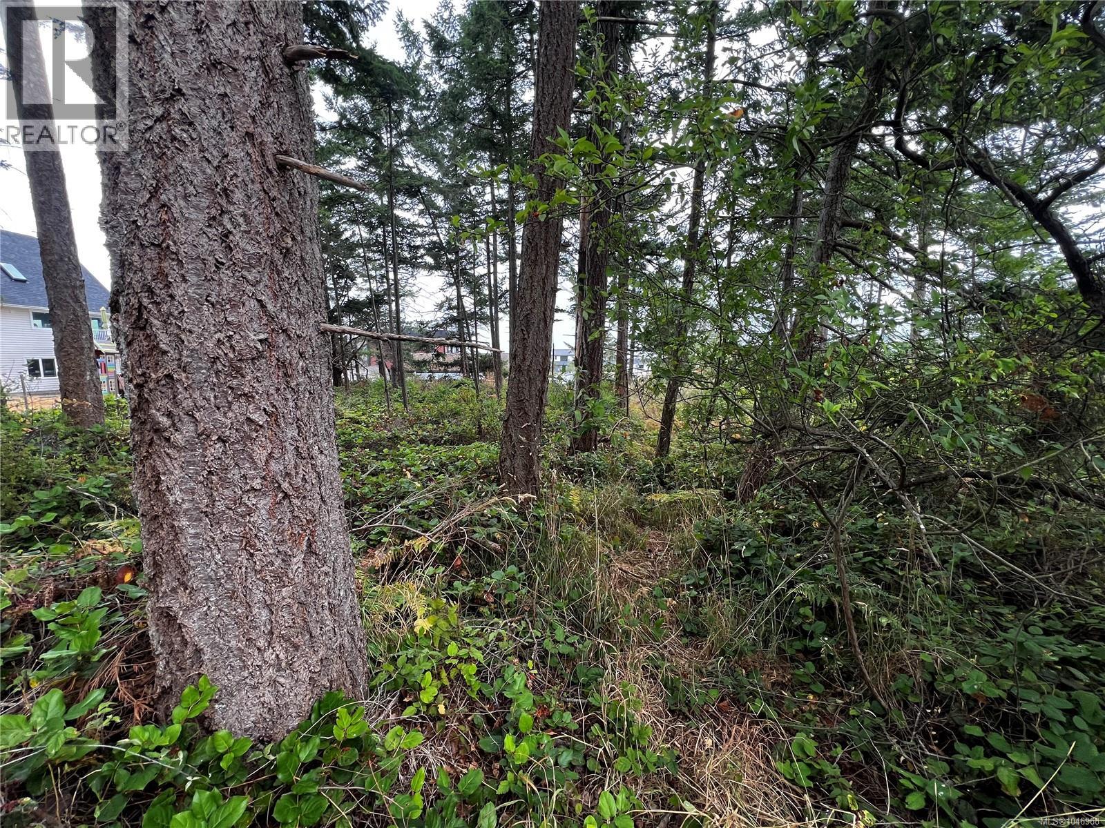 Lot 27 Walter Rd Property Photo 18