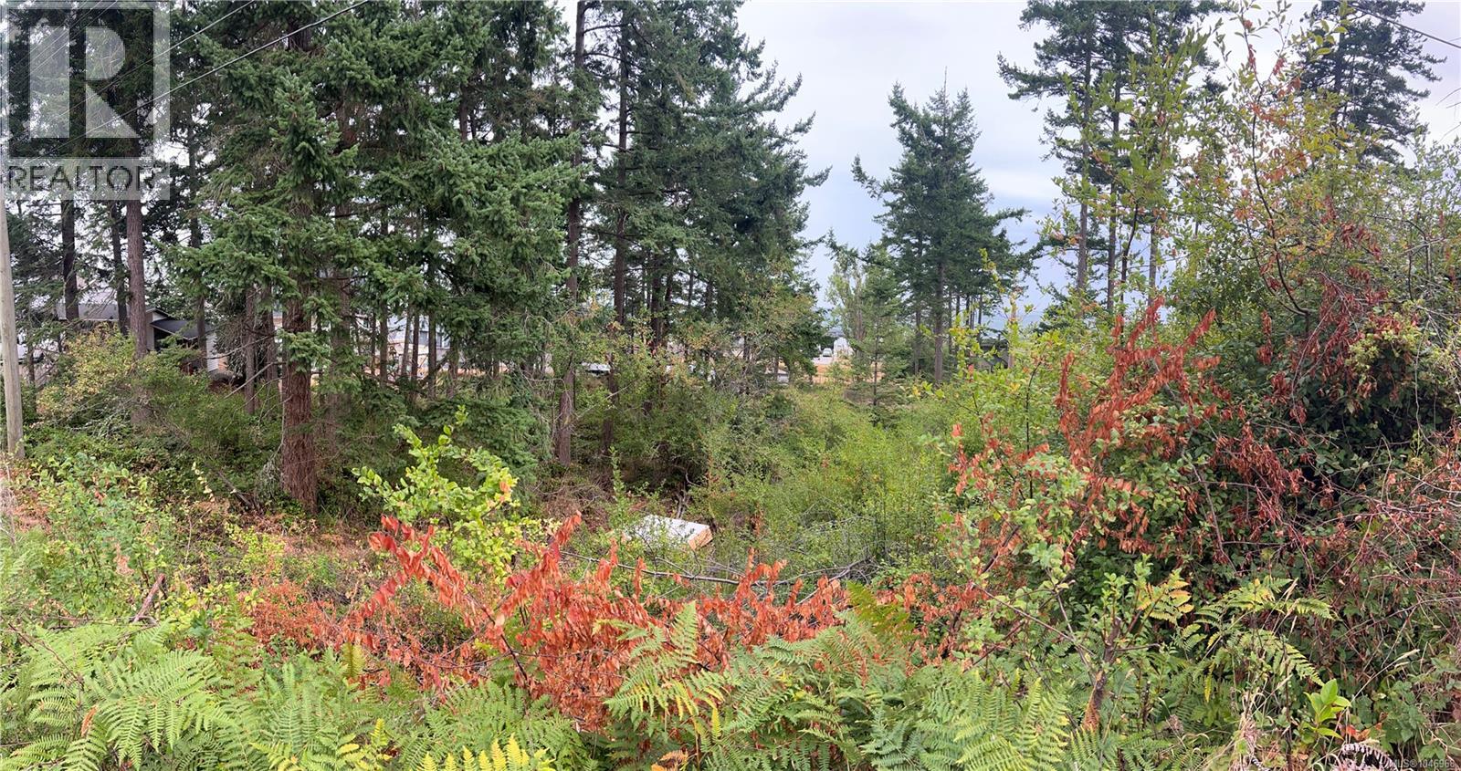 Lot 27 Walter Rd Property Photo 25
