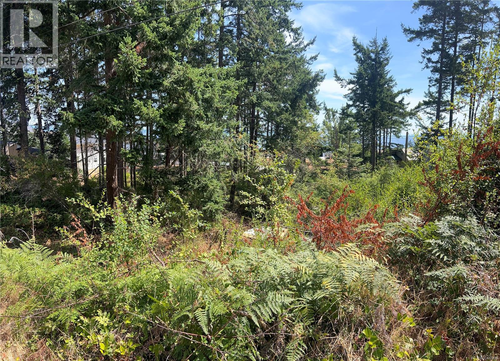 Lot 27 Walter Rd Property Photo 26